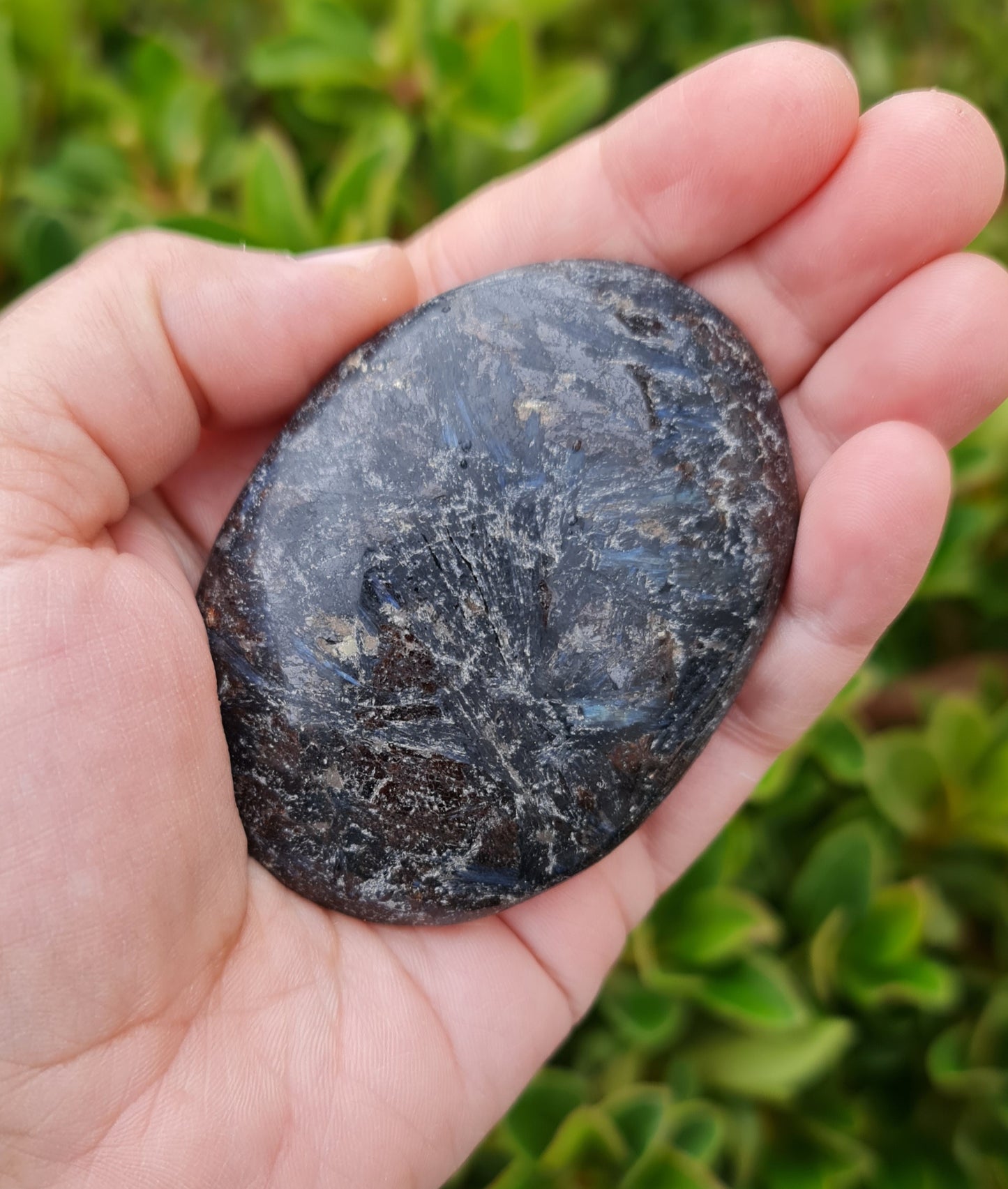 Arfvedsonite Palm Stone