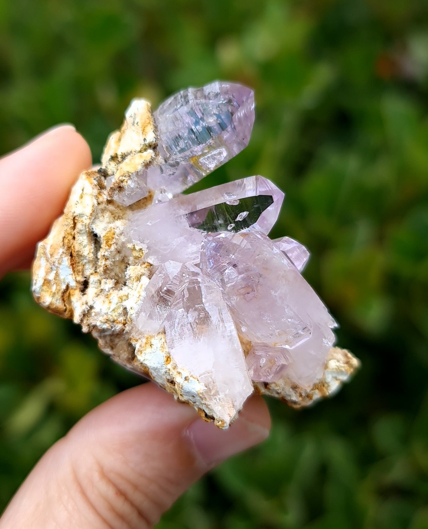 Vera Cruz Amethyst Specimen