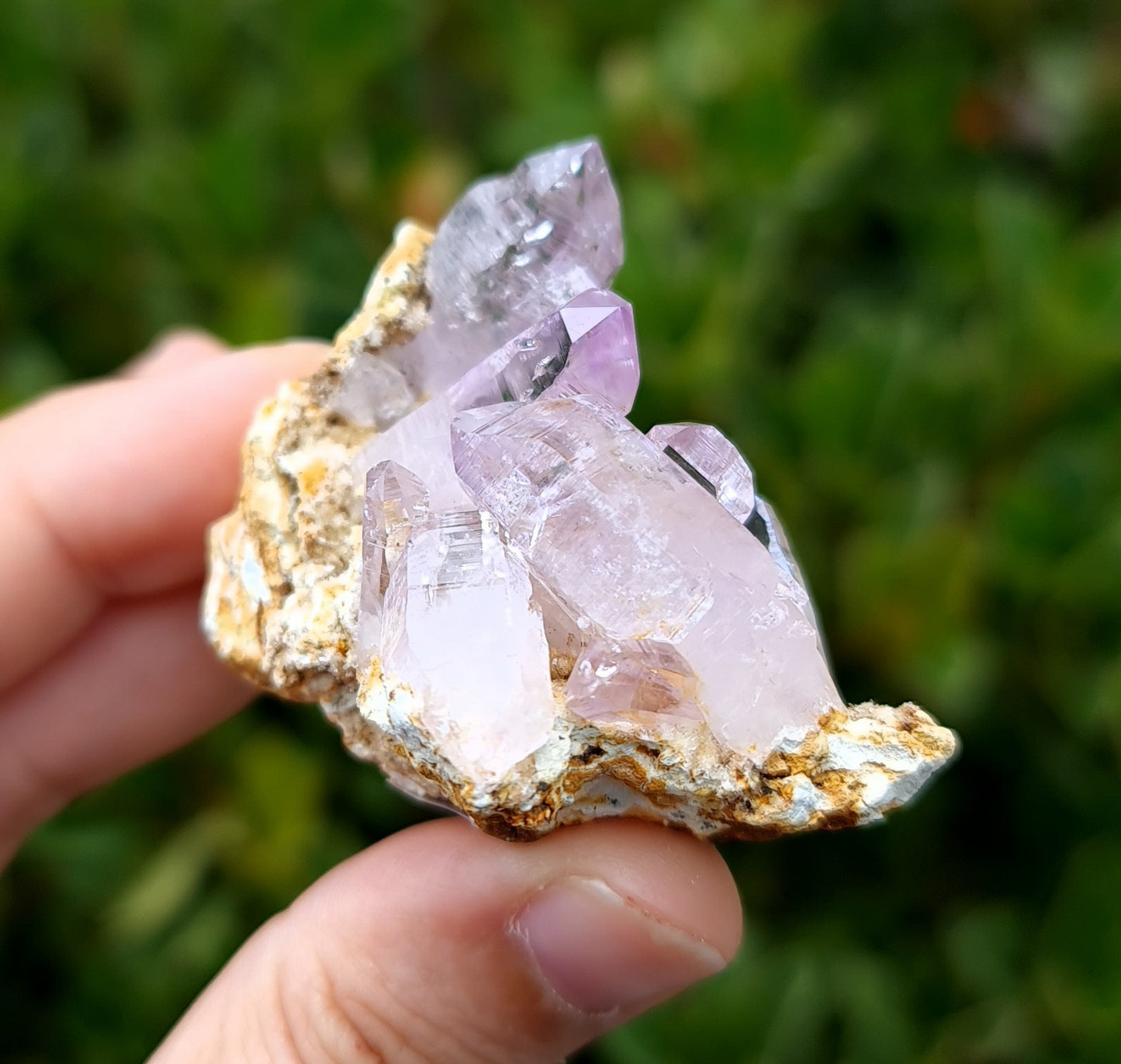 Vera Cruz Amethyst Specimen