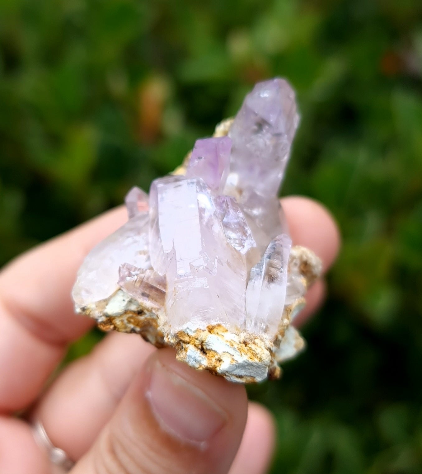 Vera Cruz Amethyst Specimen