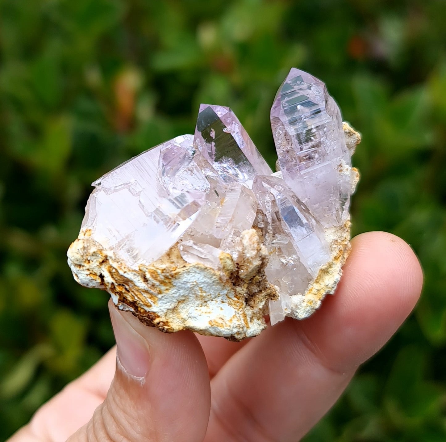 Vera Cruz Amethyst Specimen