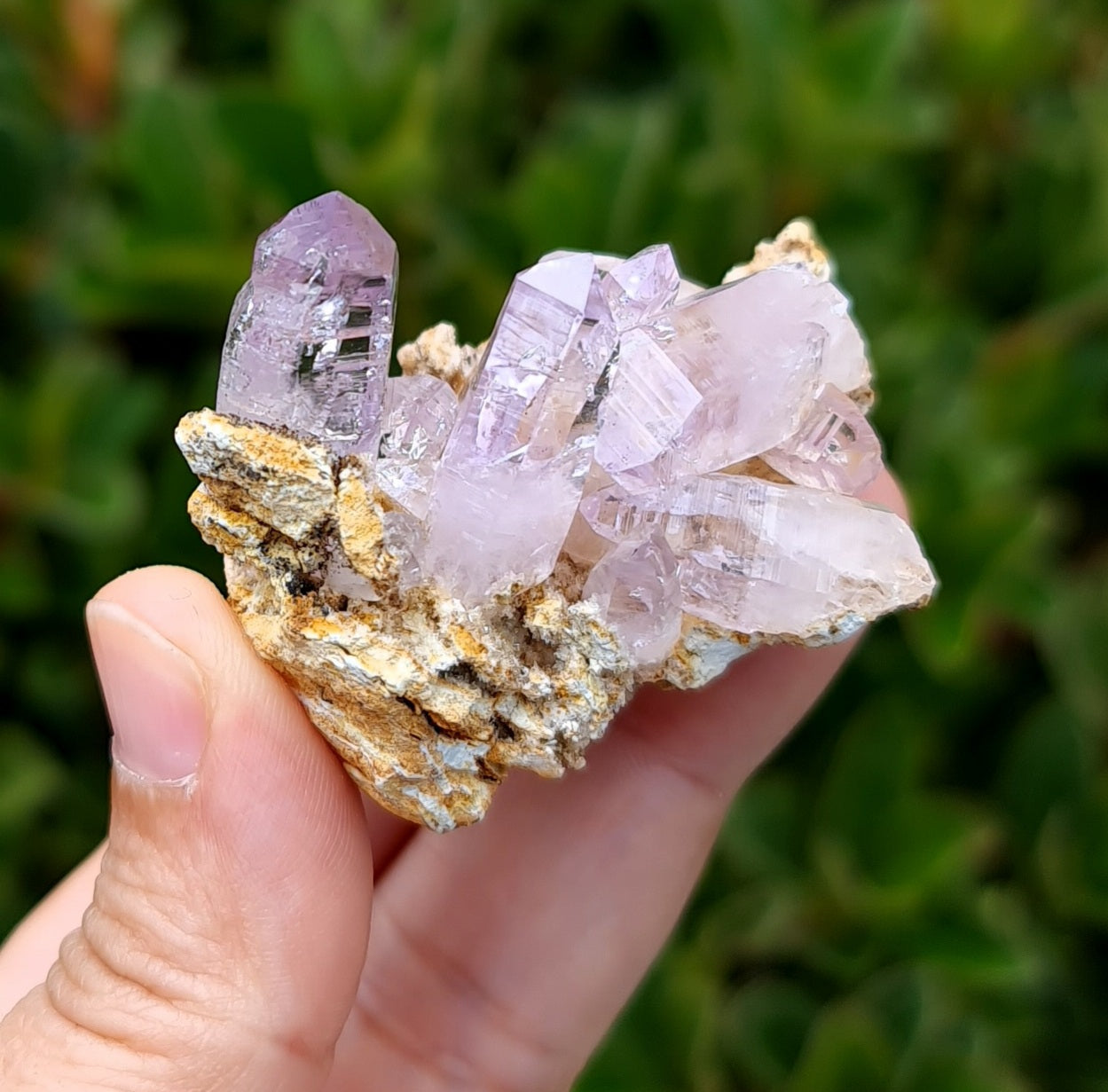Vera Cruz Amethyst Specimen