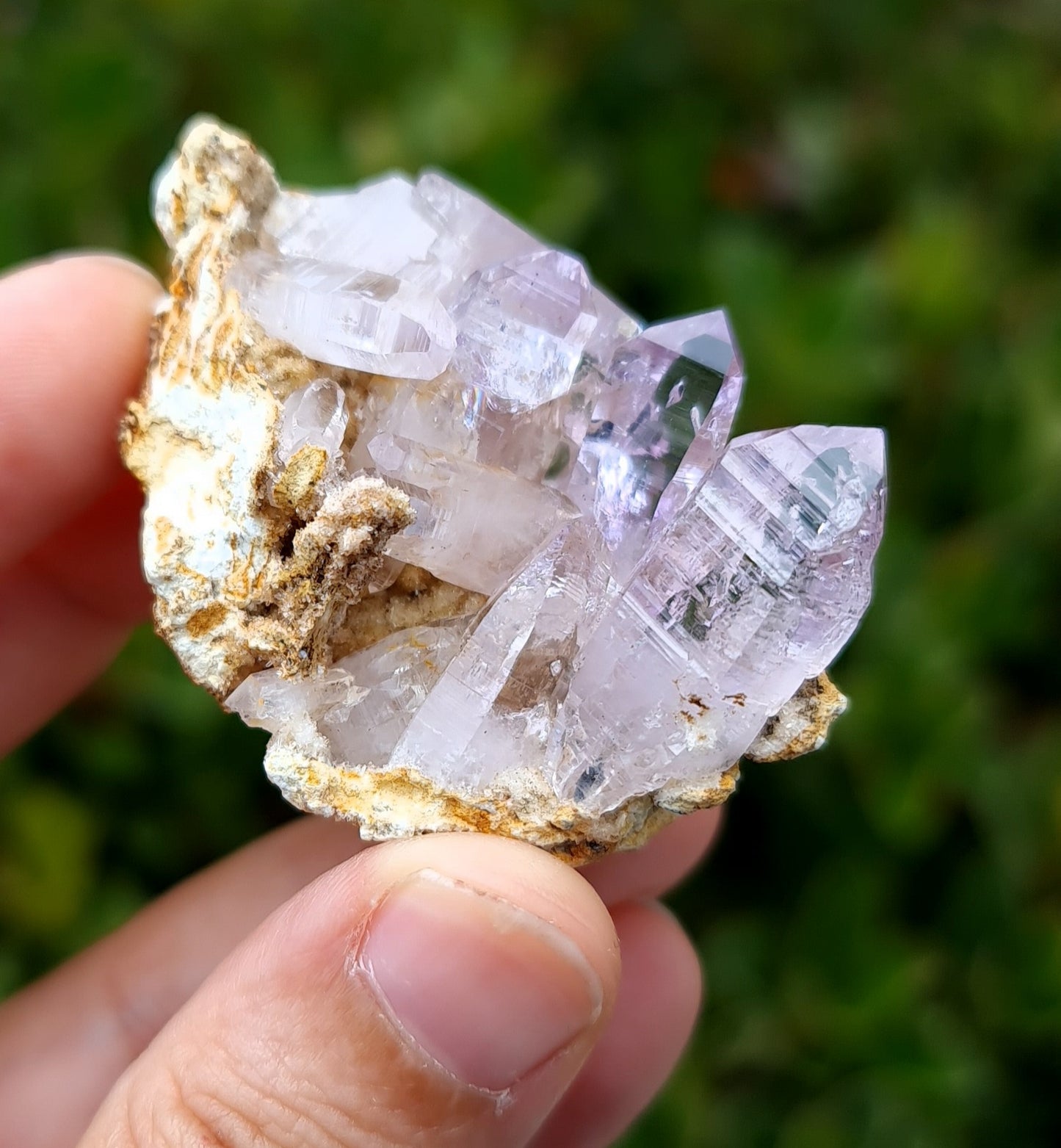 Vera Cruz Amethyst Specimen