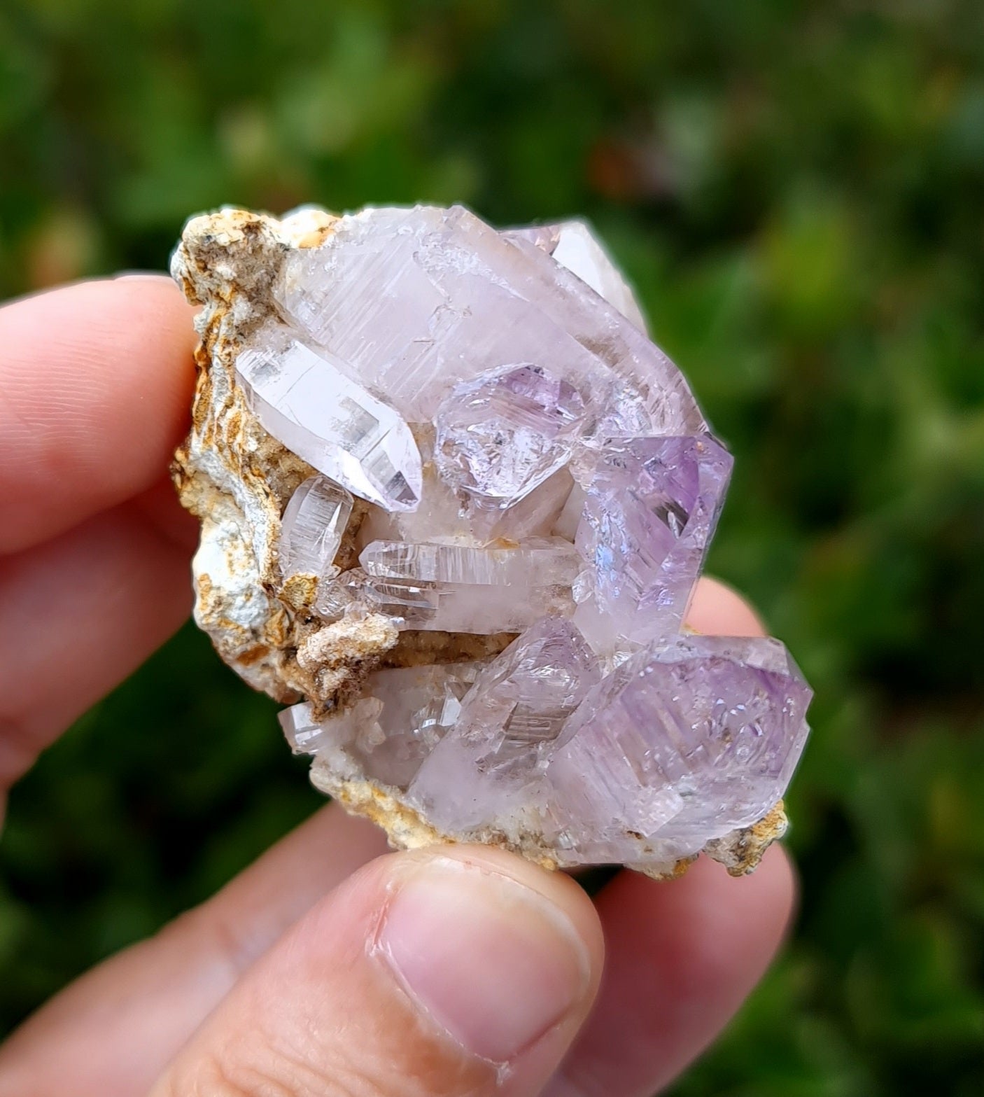 Vera Cruz Amethyst Specimen