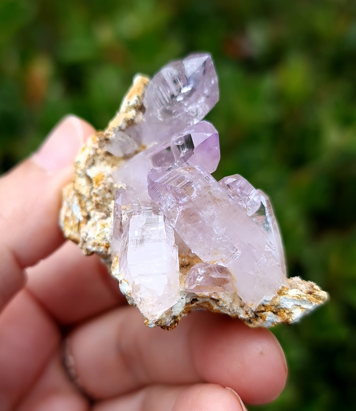 Vera Cruz Amethyst Specimen