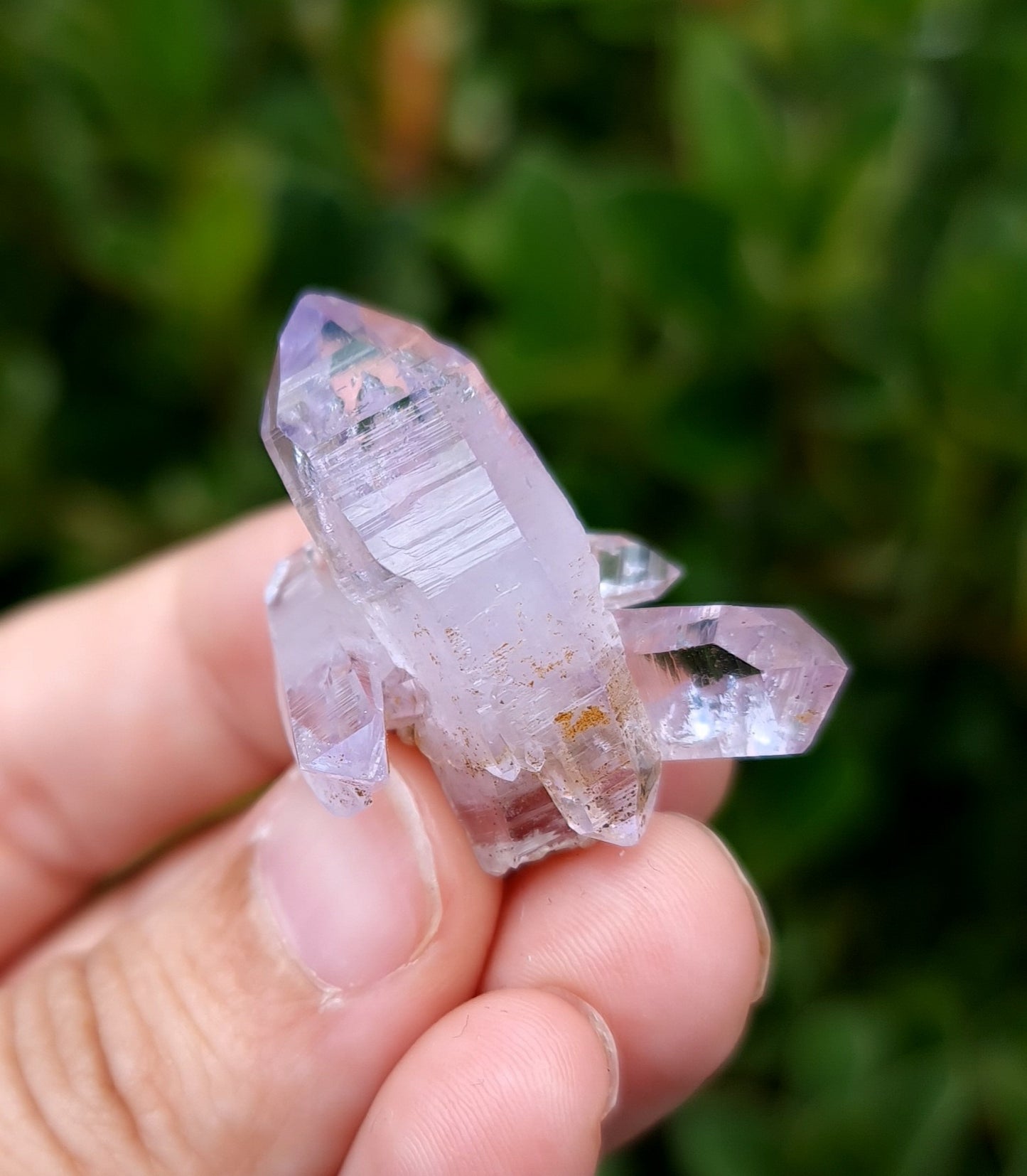 Vera Cruz Amethyst Specimen
