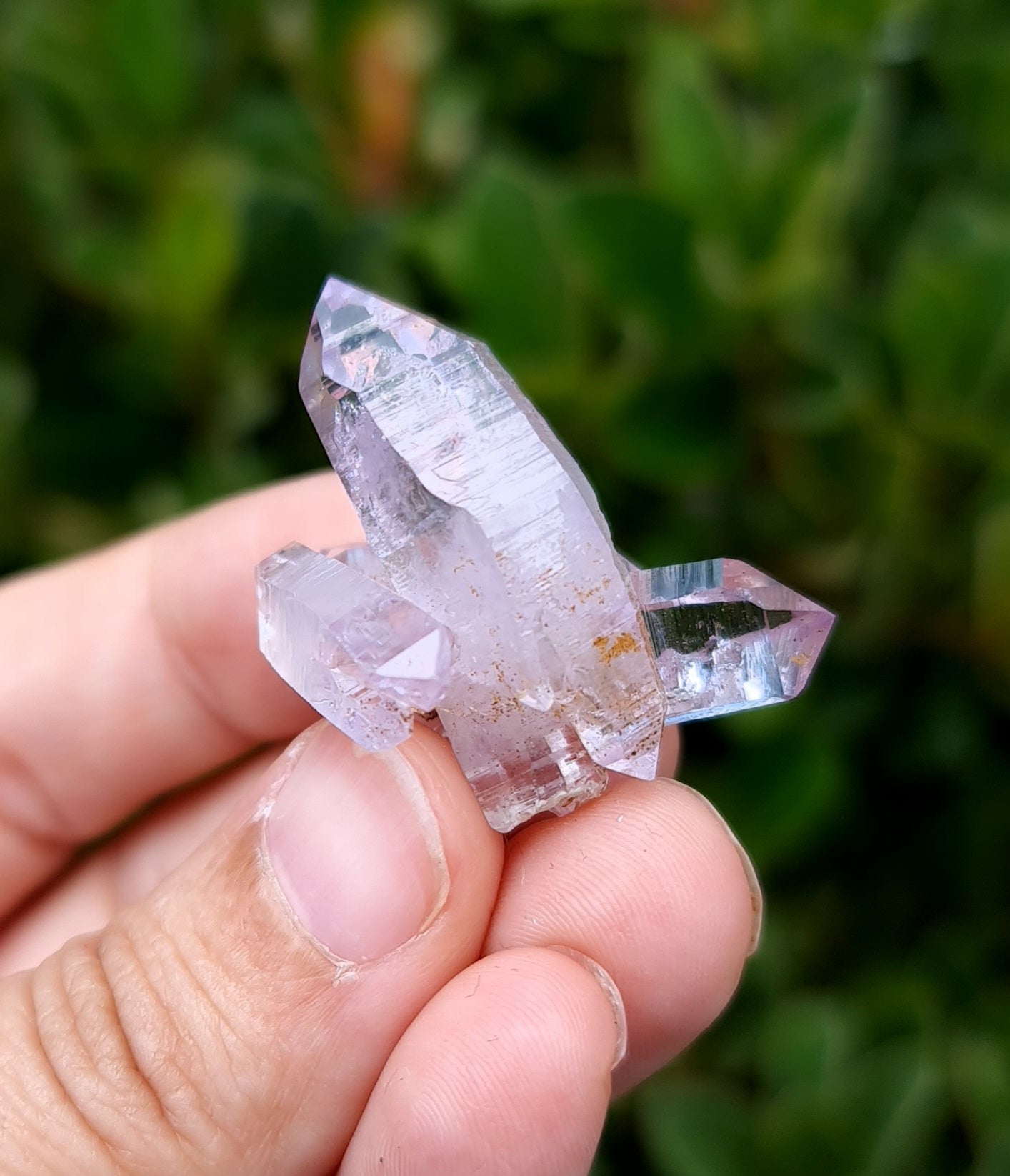 Vera Cruz Amethyst Specimen