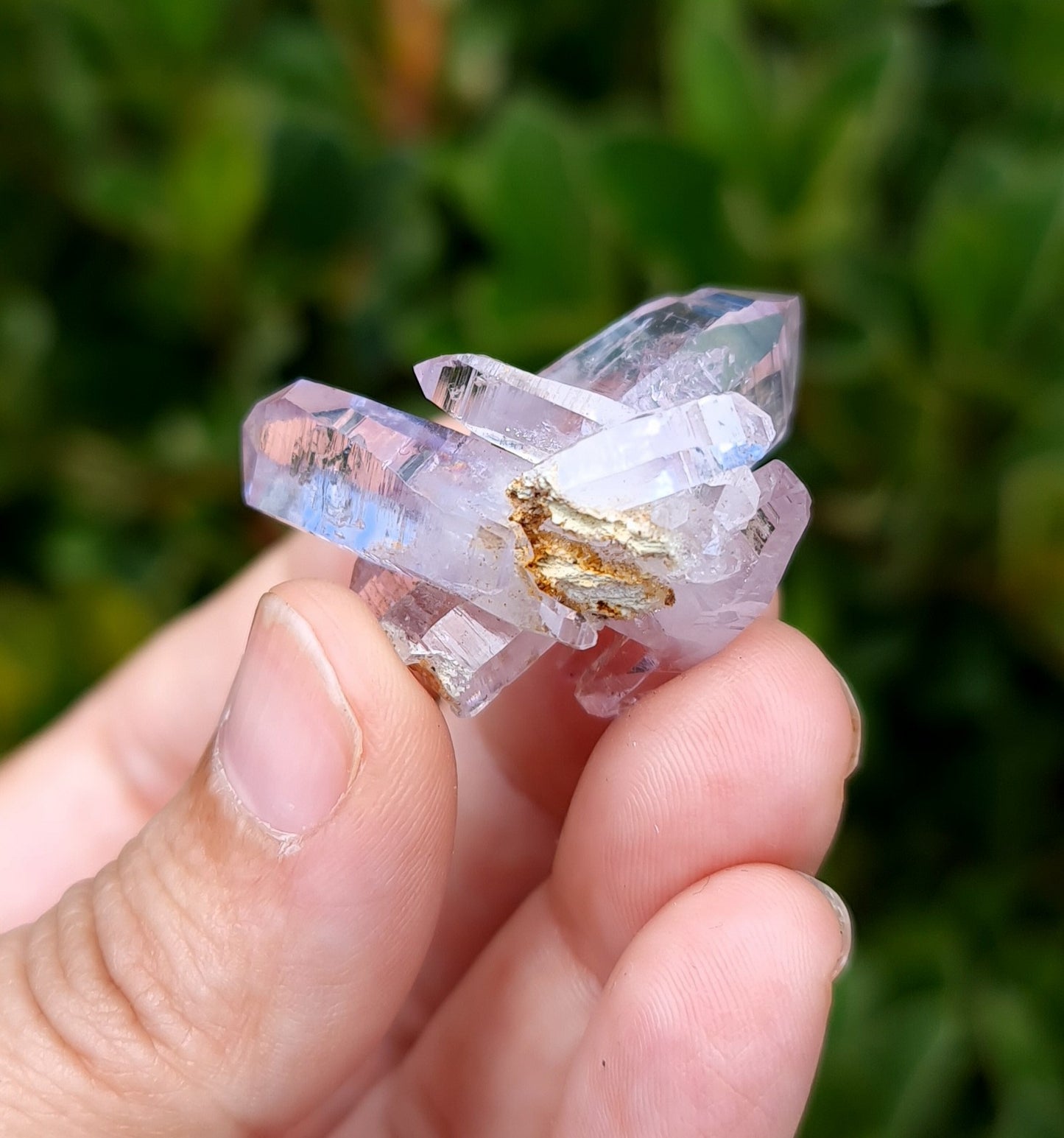 Vera Cruz Amethyst Specimen