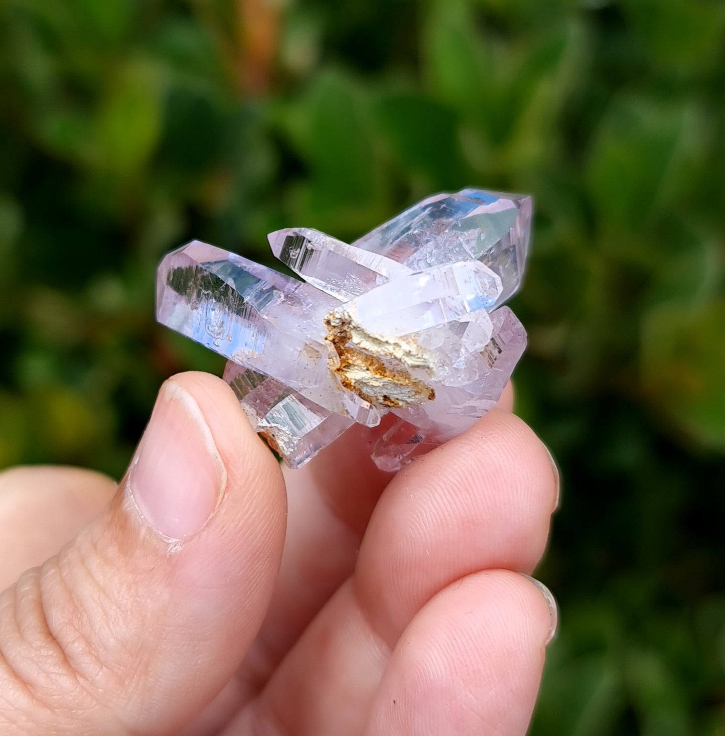 Vera Cruz Amethyst Specimen
