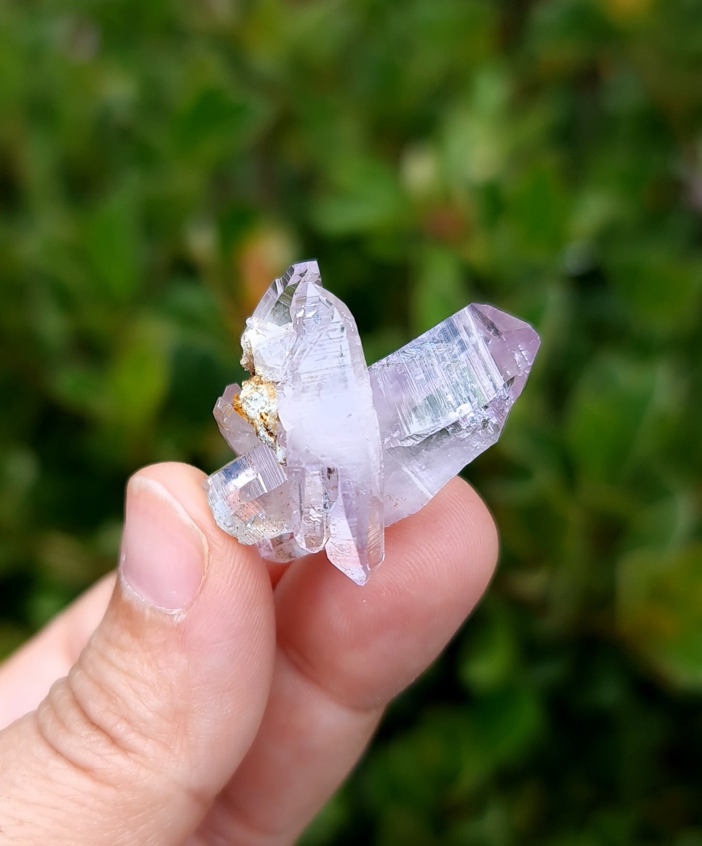 Vera Cruz Amethyst Specimen