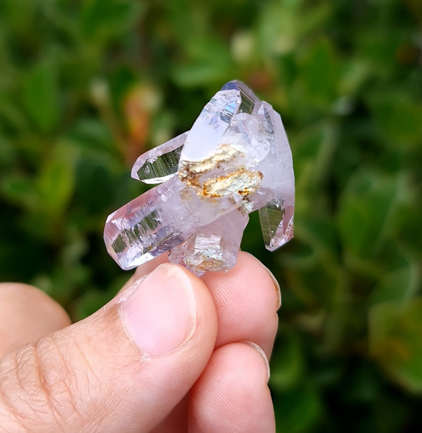Vera Cruz Amethyst Specimen