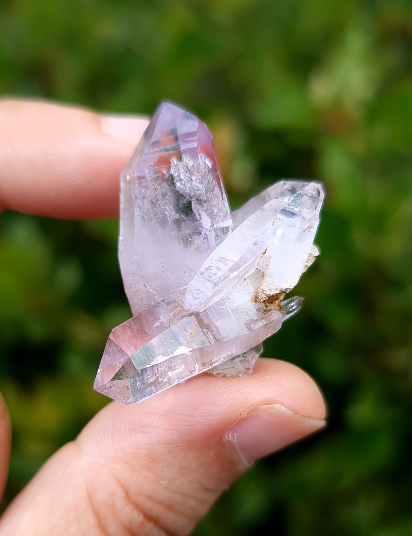Vera Cruz Amethyst Specimen