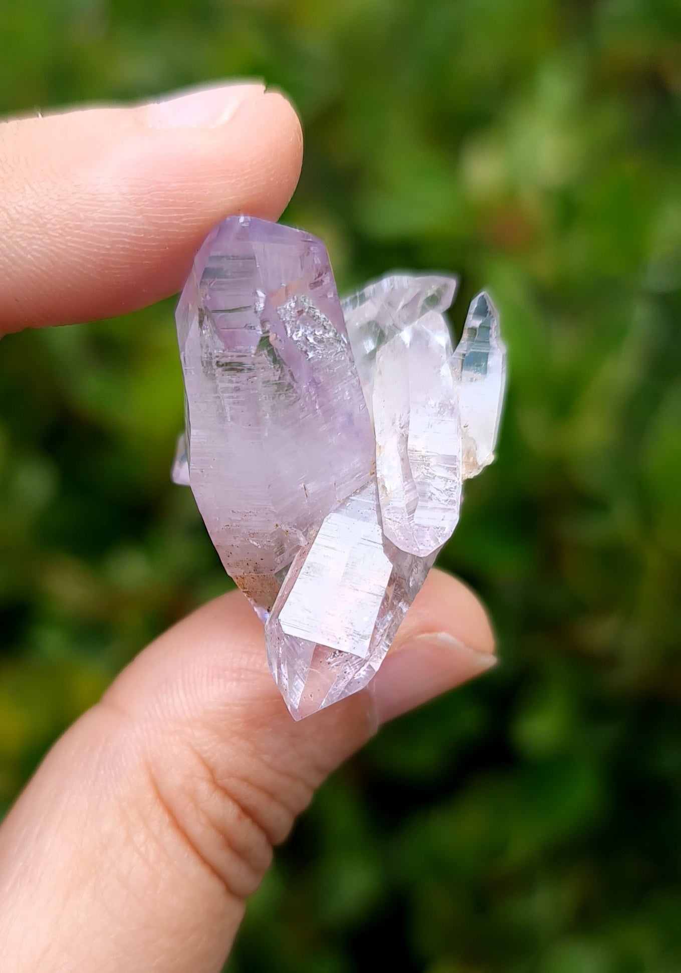 Vera Cruz Amethyst Specimen