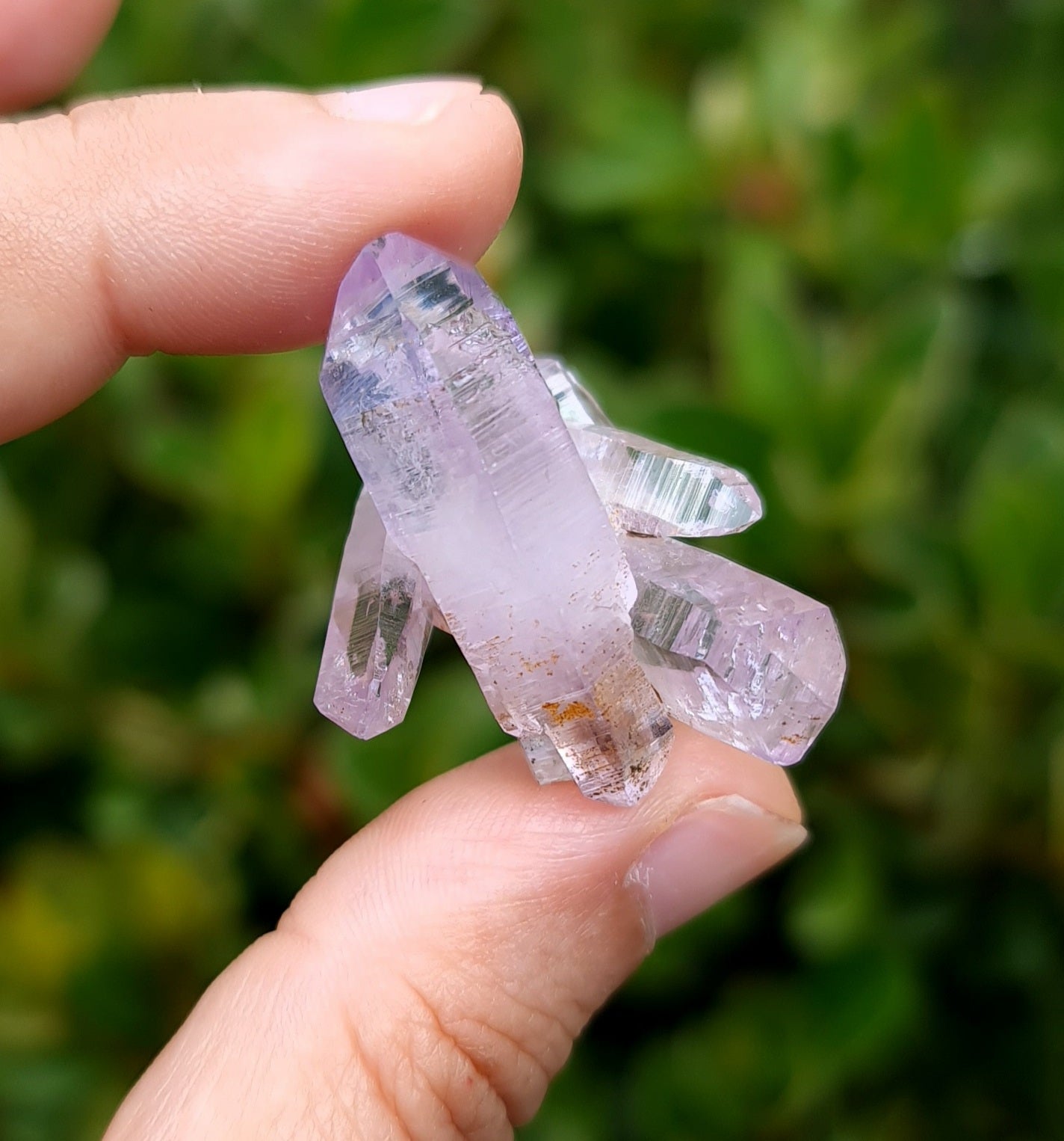 Vera Cruz Amethyst Specimen