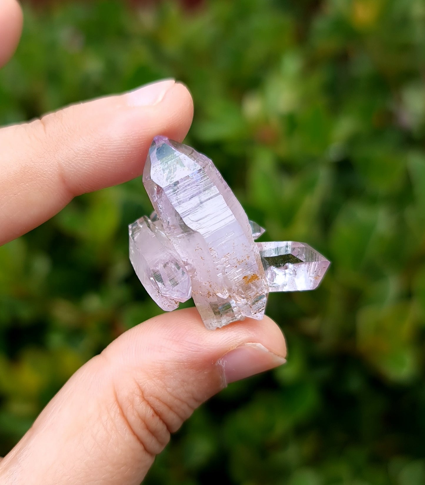Vera Cruz Amethyst Specimen