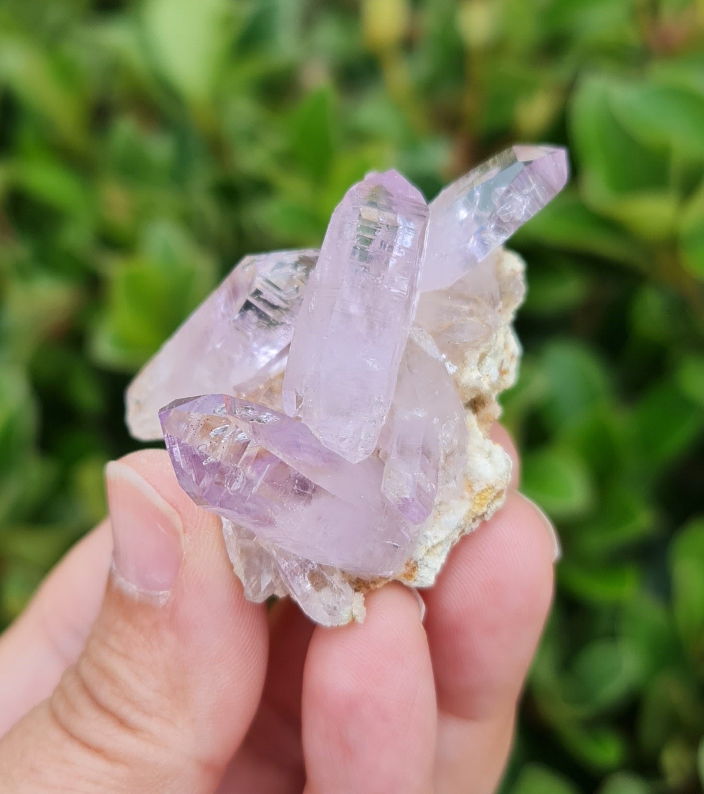 Vera Cruz Amethyst Specimen