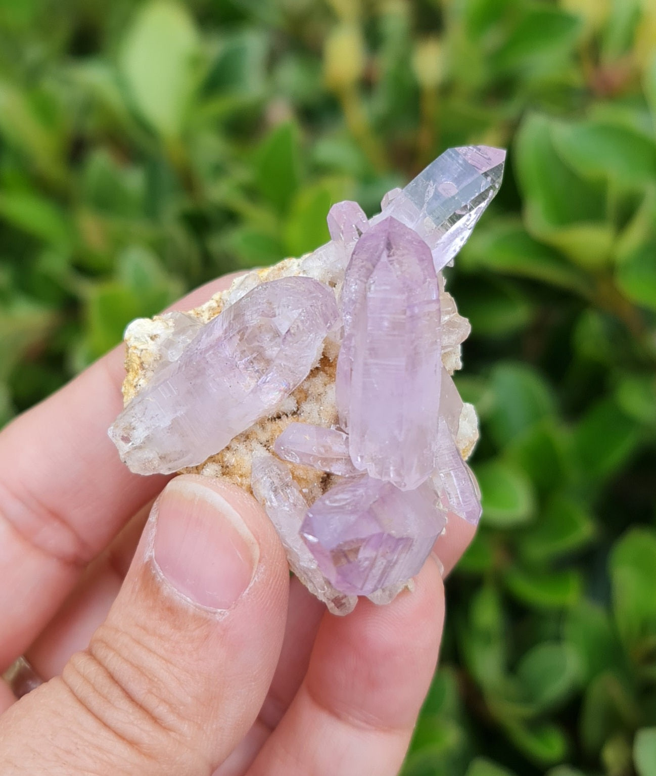 Vera Cruz Amethyst Specimen