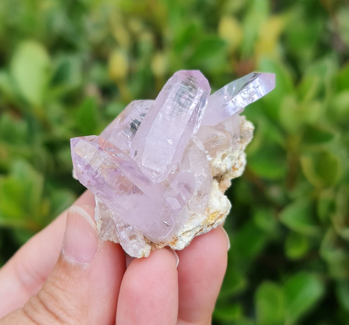 Vera Cruz Amethyst Specimen