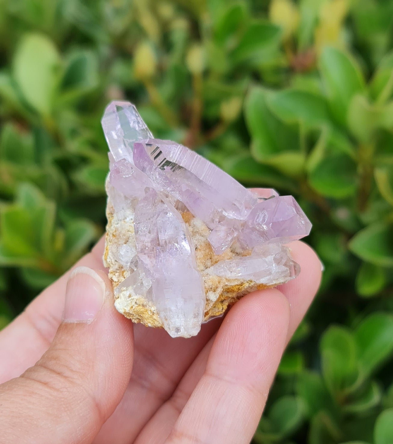 Vera Cruz Amethyst Specimen