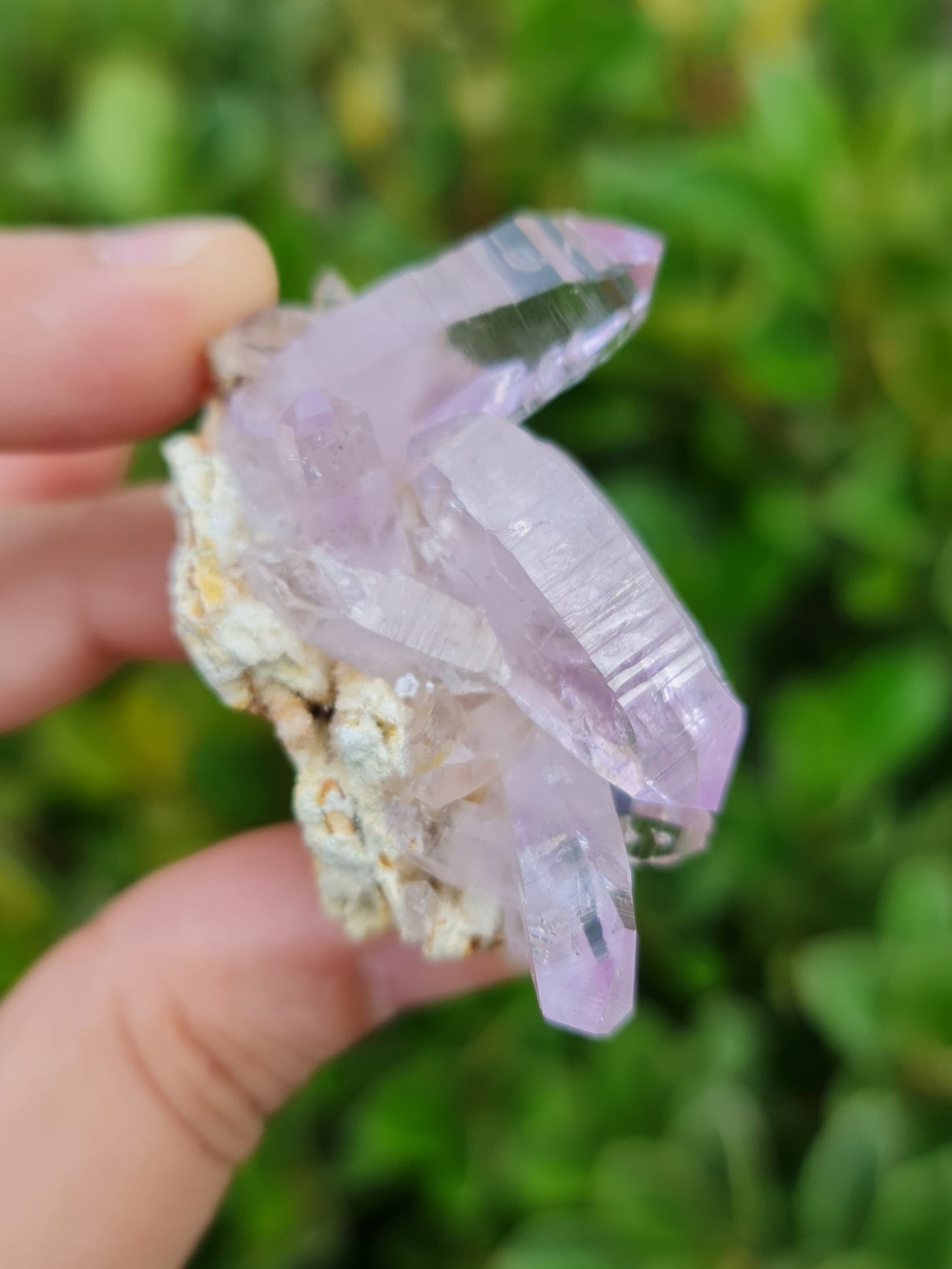 Vera Cruz Amethyst Specimen