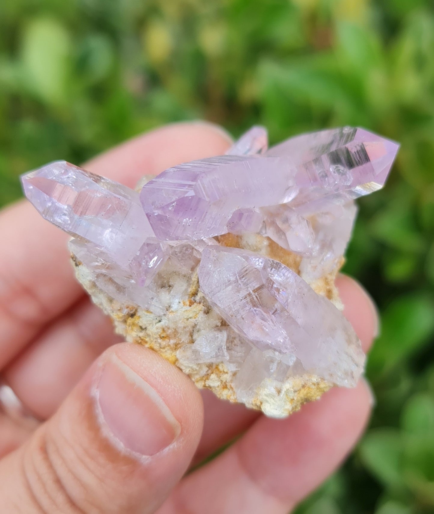 Vera Cruz Amethyst Specimen