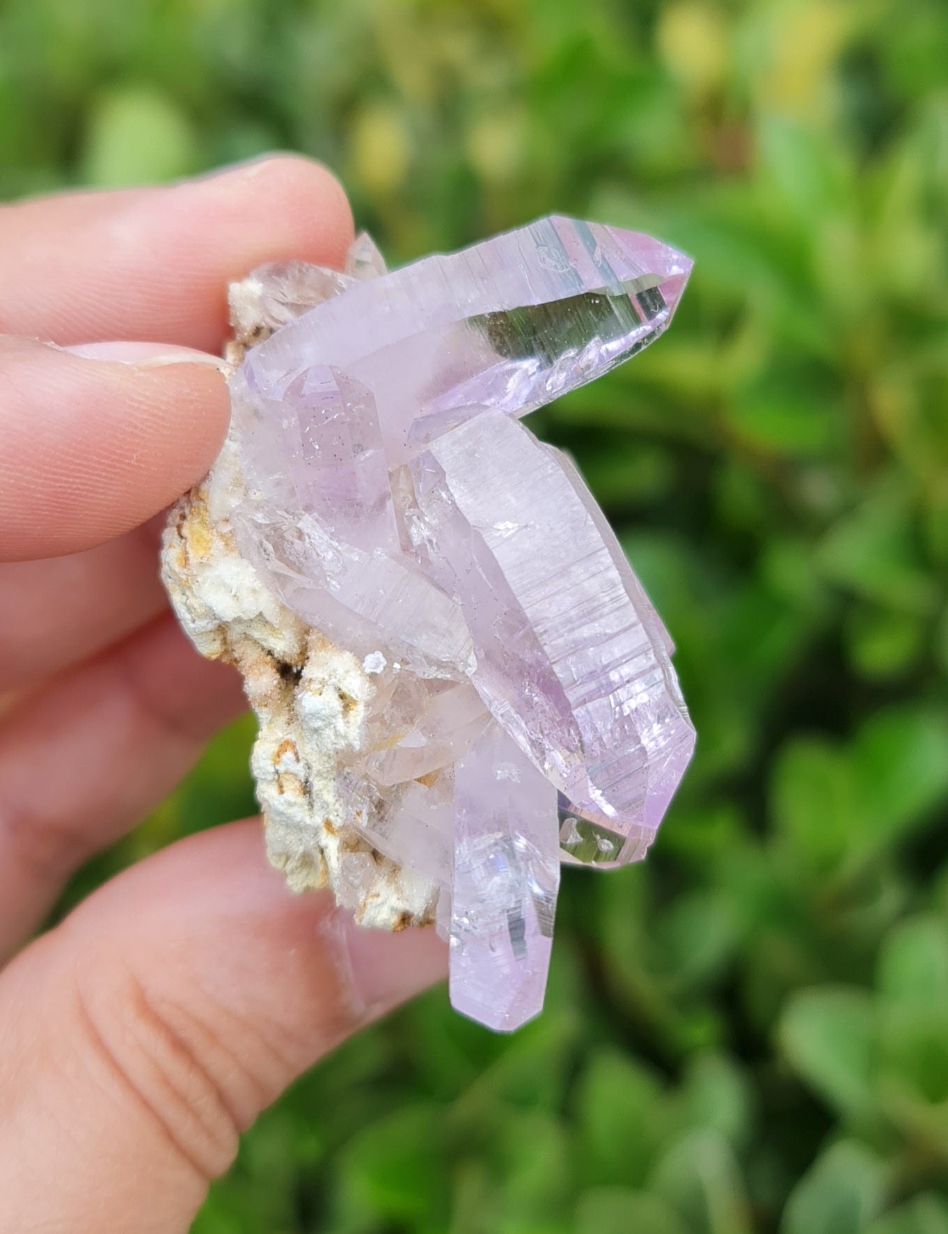 Vera Cruz Amethyst Specimen
