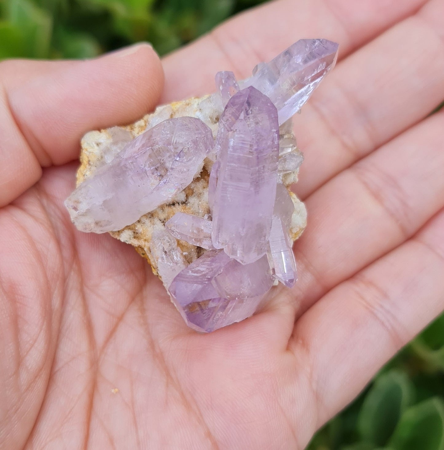Vera Cruz Amethyst Specimen