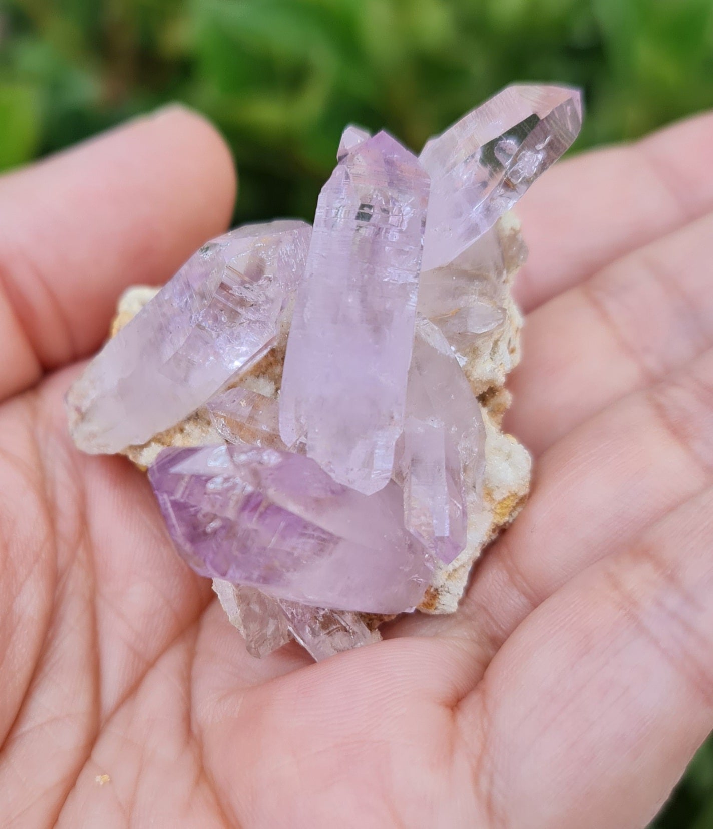 Vera Cruz Amethyst Specimen