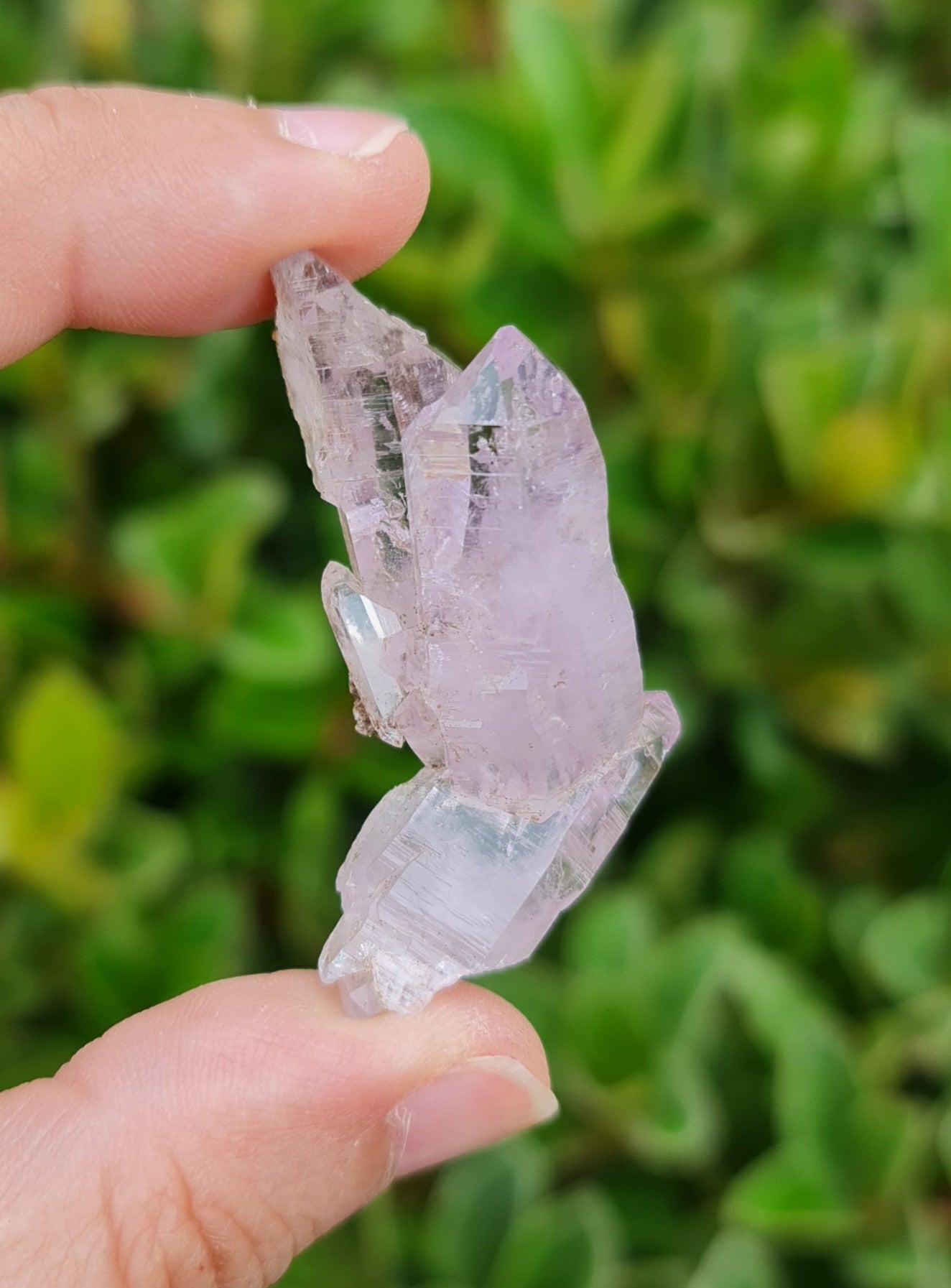Vera Cruz Amethyst Specimen