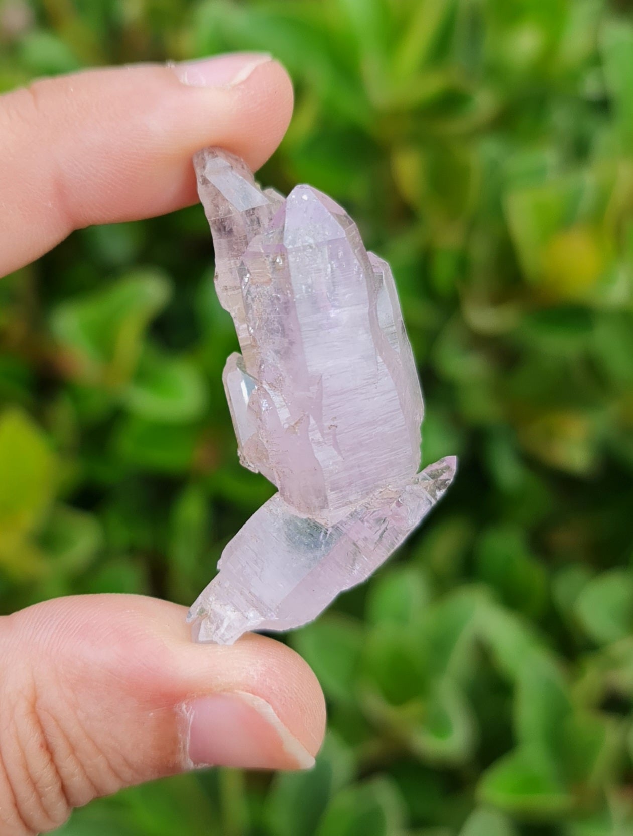 Vera Cruz Amethyst Specimen