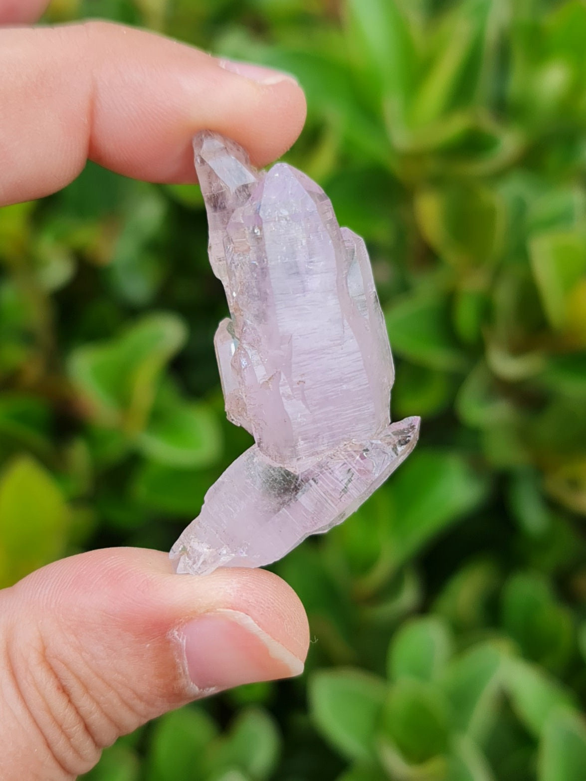 Vera Cruz Amethyst Specimen