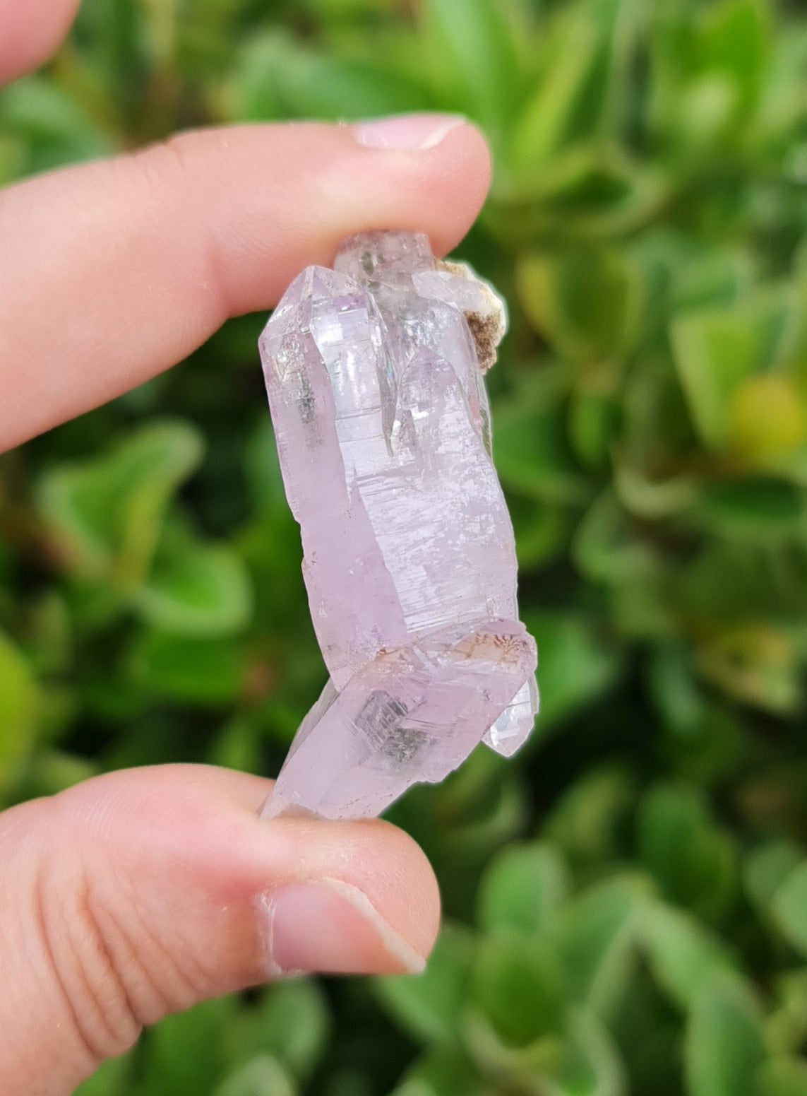 Vera Cruz Amethyst Specimen