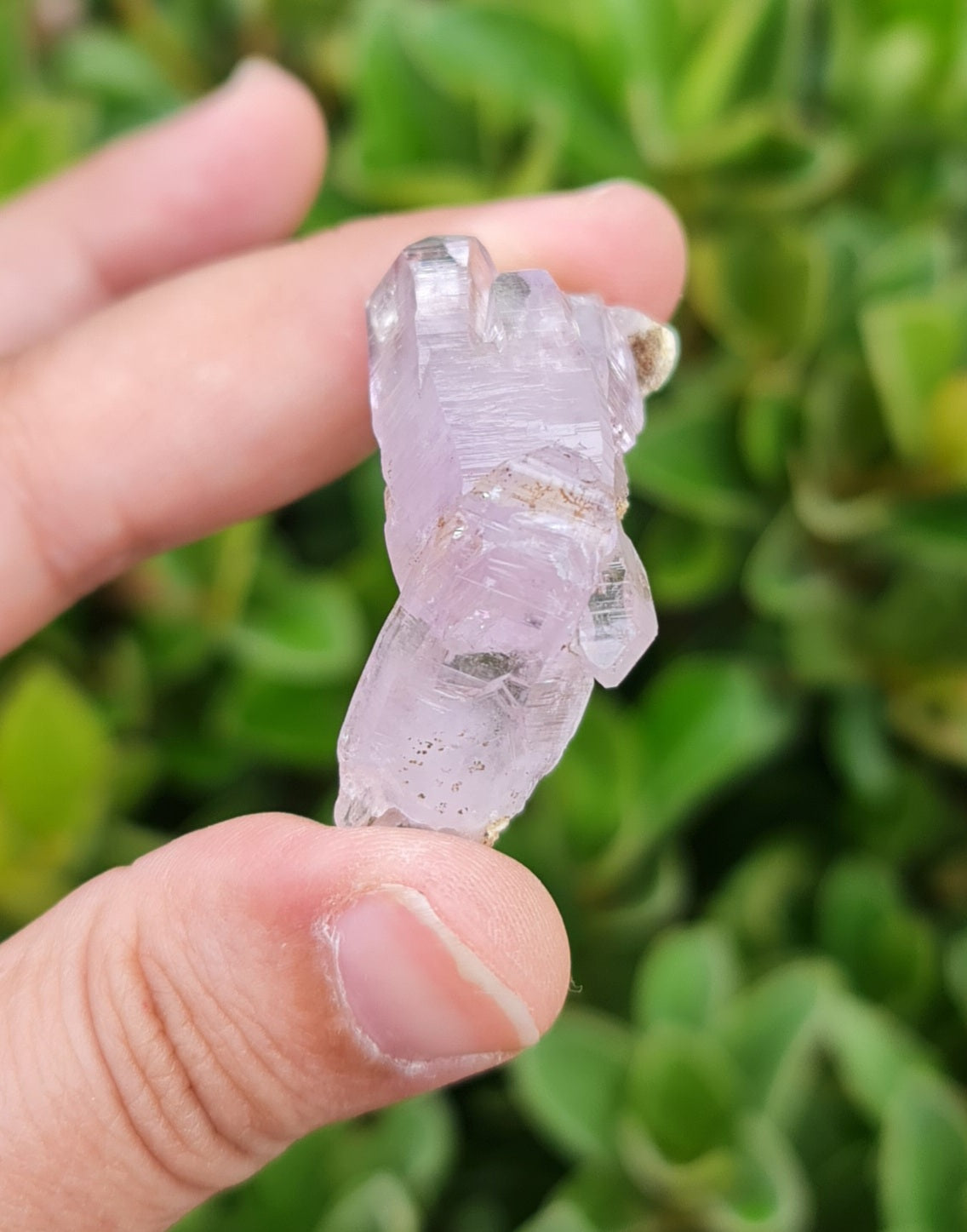 Vera Cruz Amethyst Specimen
