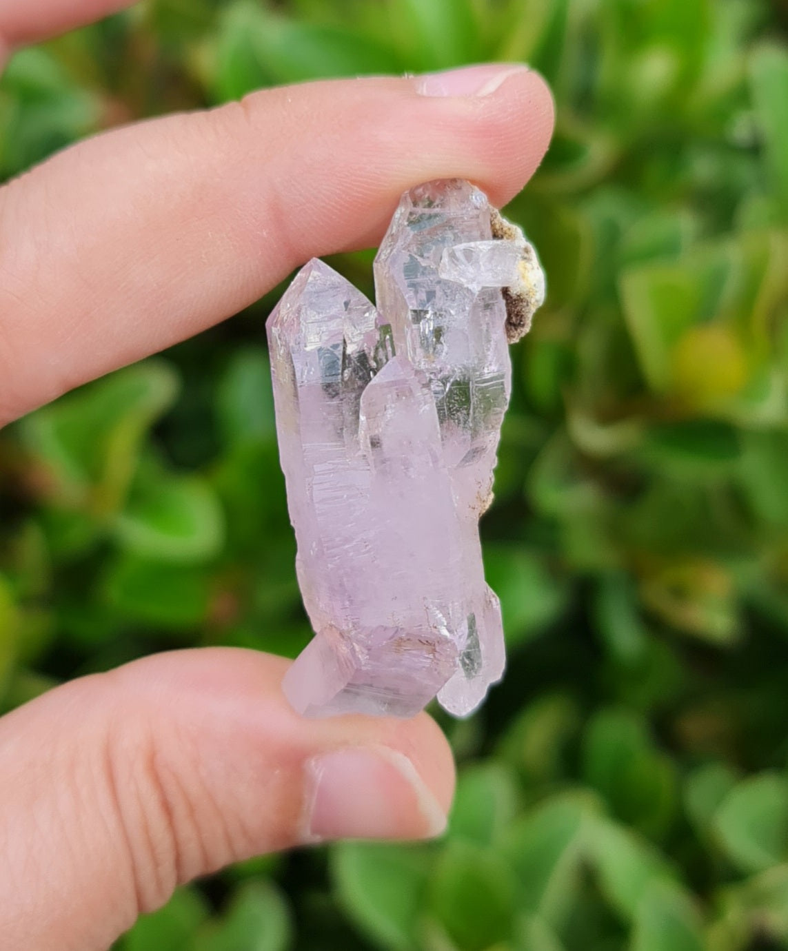 Vera Cruz Amethyst Specimen