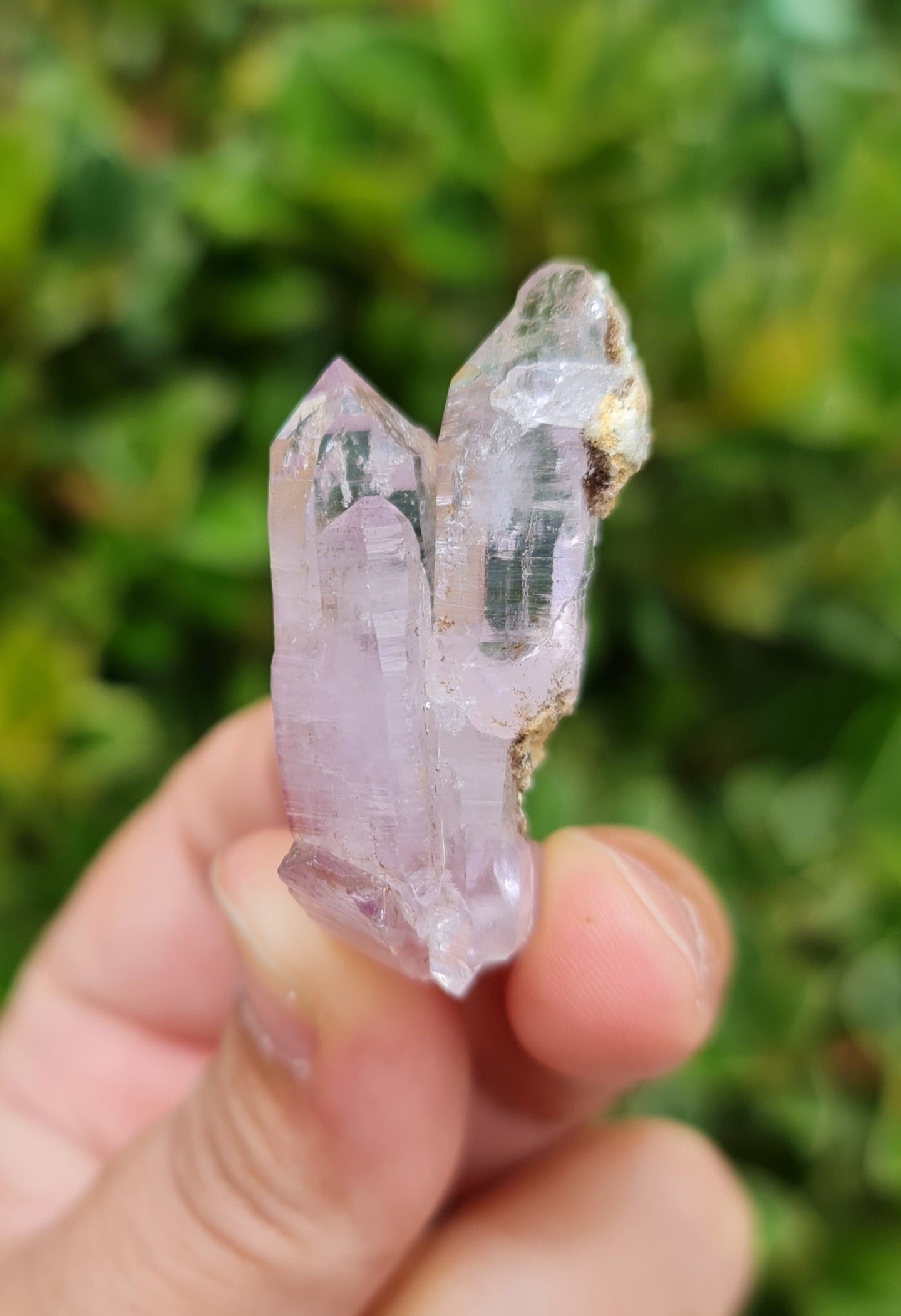 Vera Cruz Amethyst Specimen