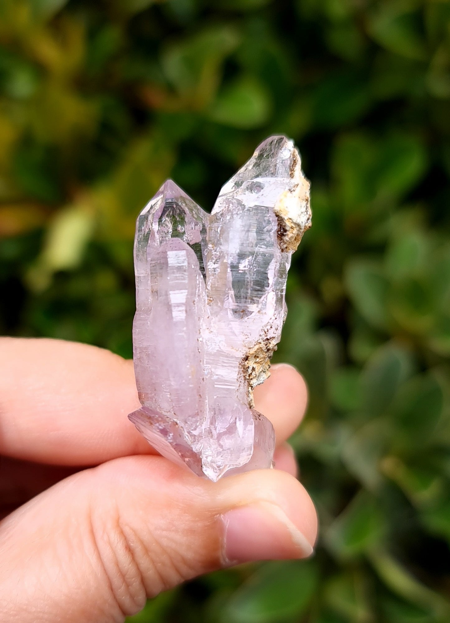Vera Cruz Amethyst Specimen
