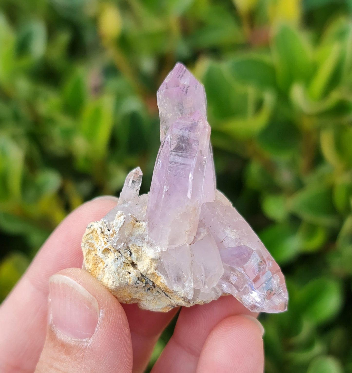 Vera Cruz Amethyst Specimen