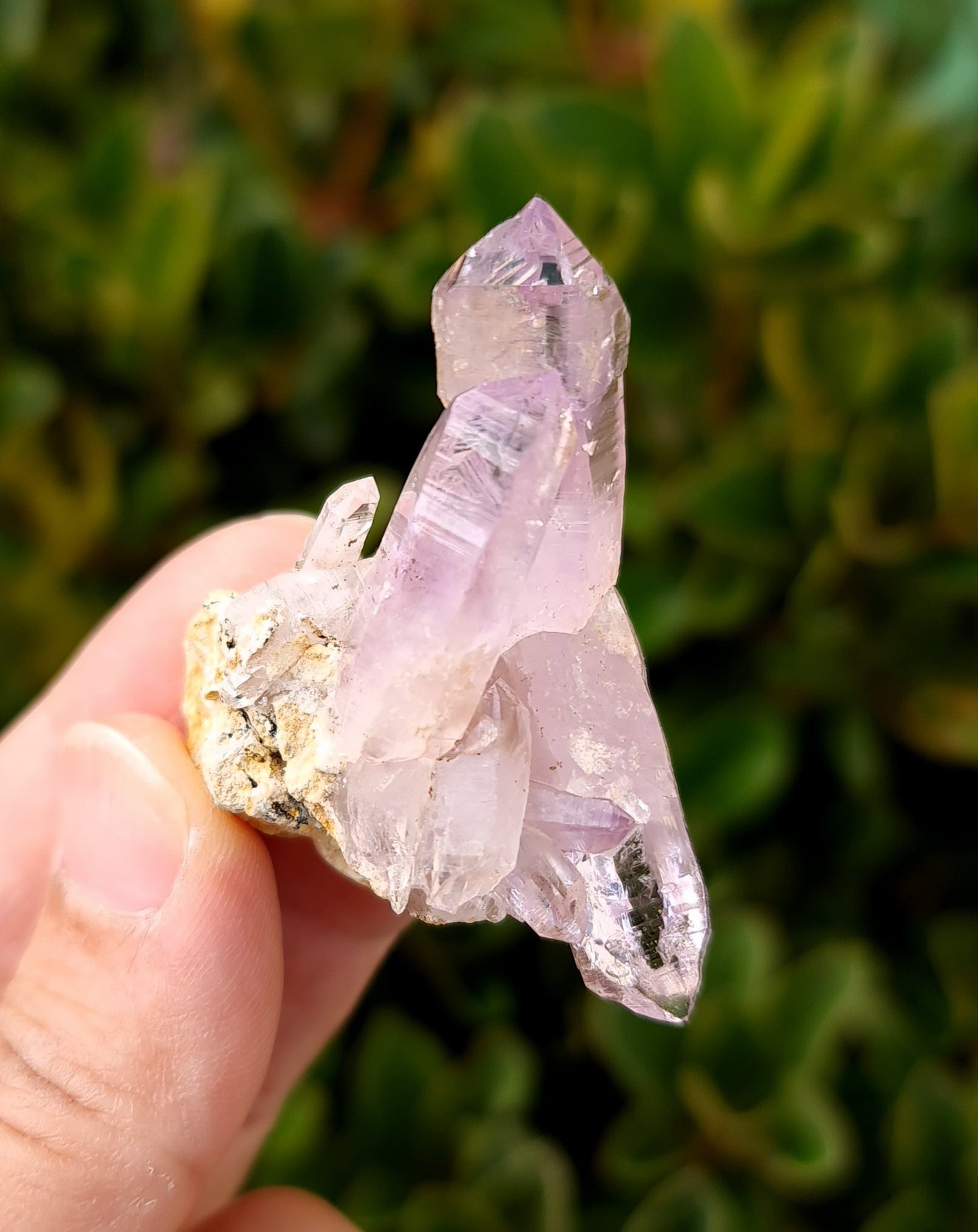 Vera Cruz Amethyst Specimen