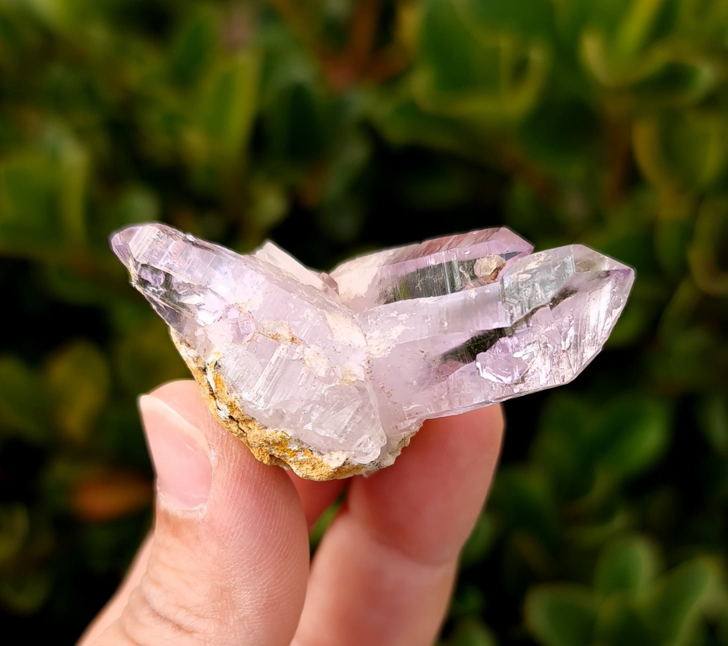 Vera Cruz Amethyst Specimen