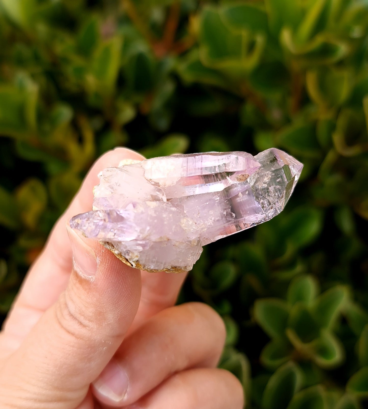 Vera Cruz Amethyst Specimen