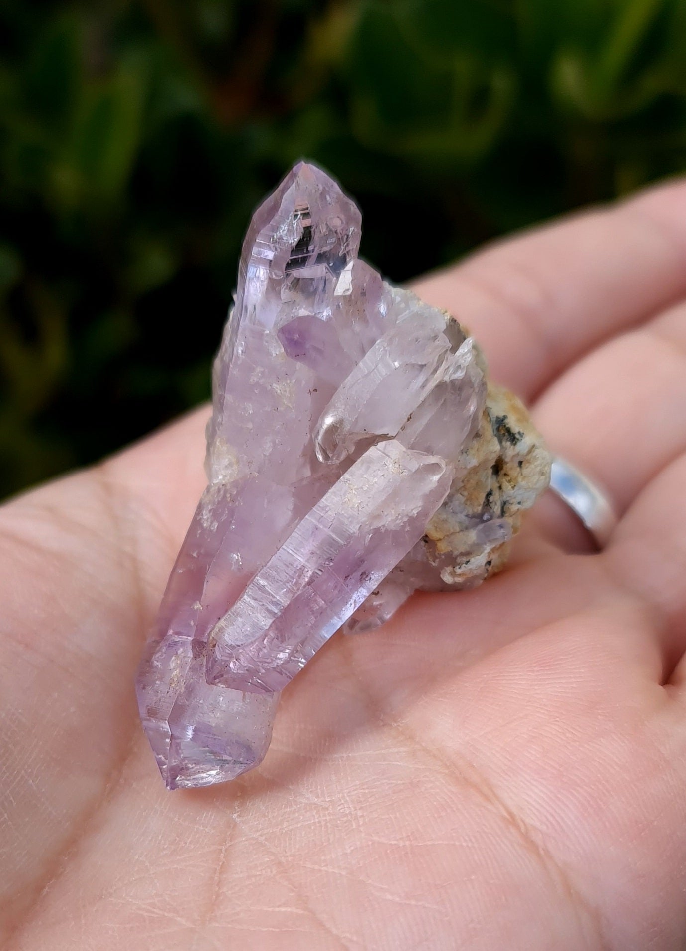 Vera Cruz Amethyst Specimen