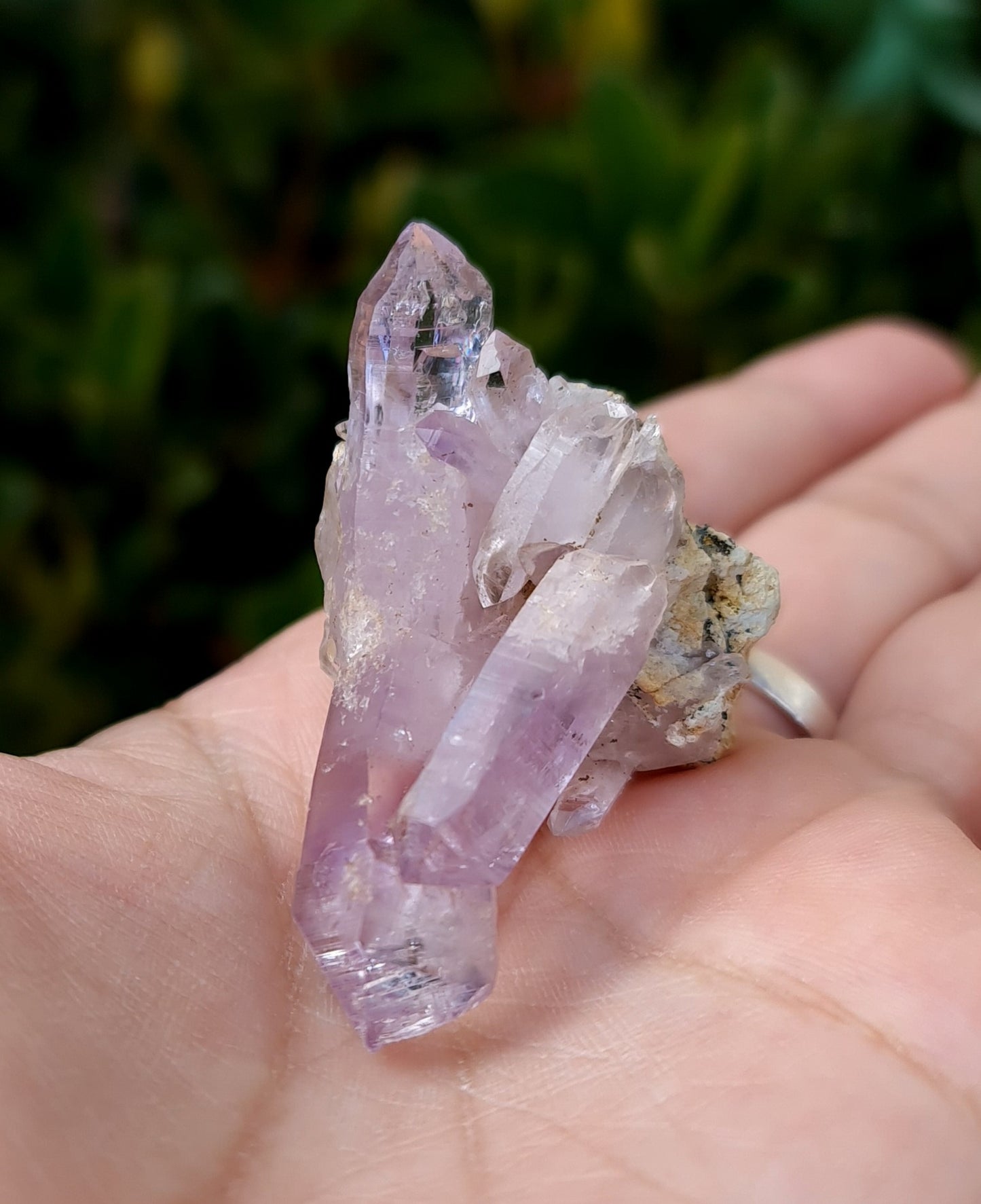 Vera Cruz Amethyst Specimen