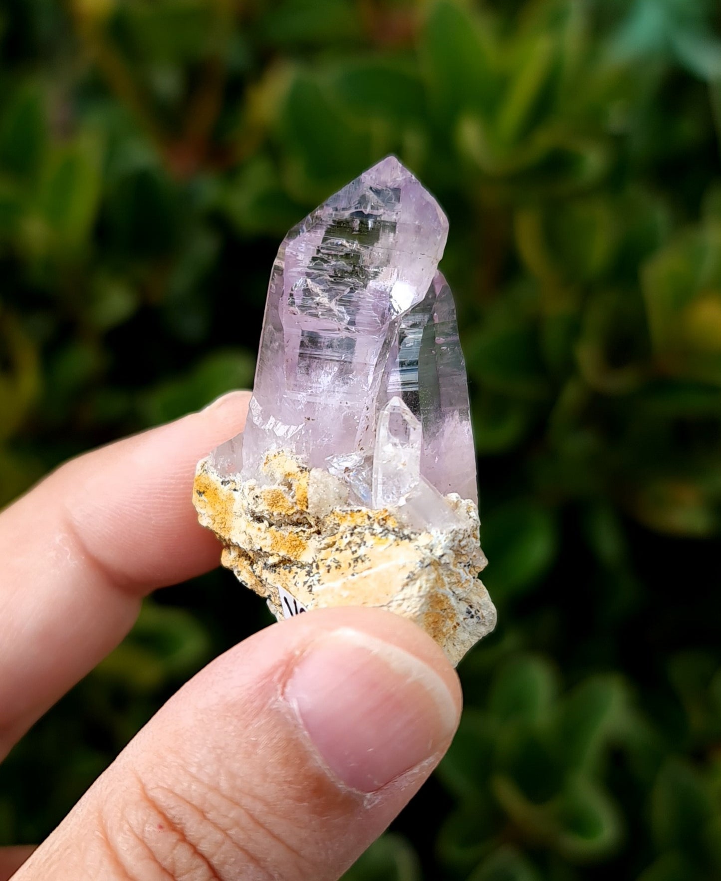 Vera Cruz Amethyst Specimen