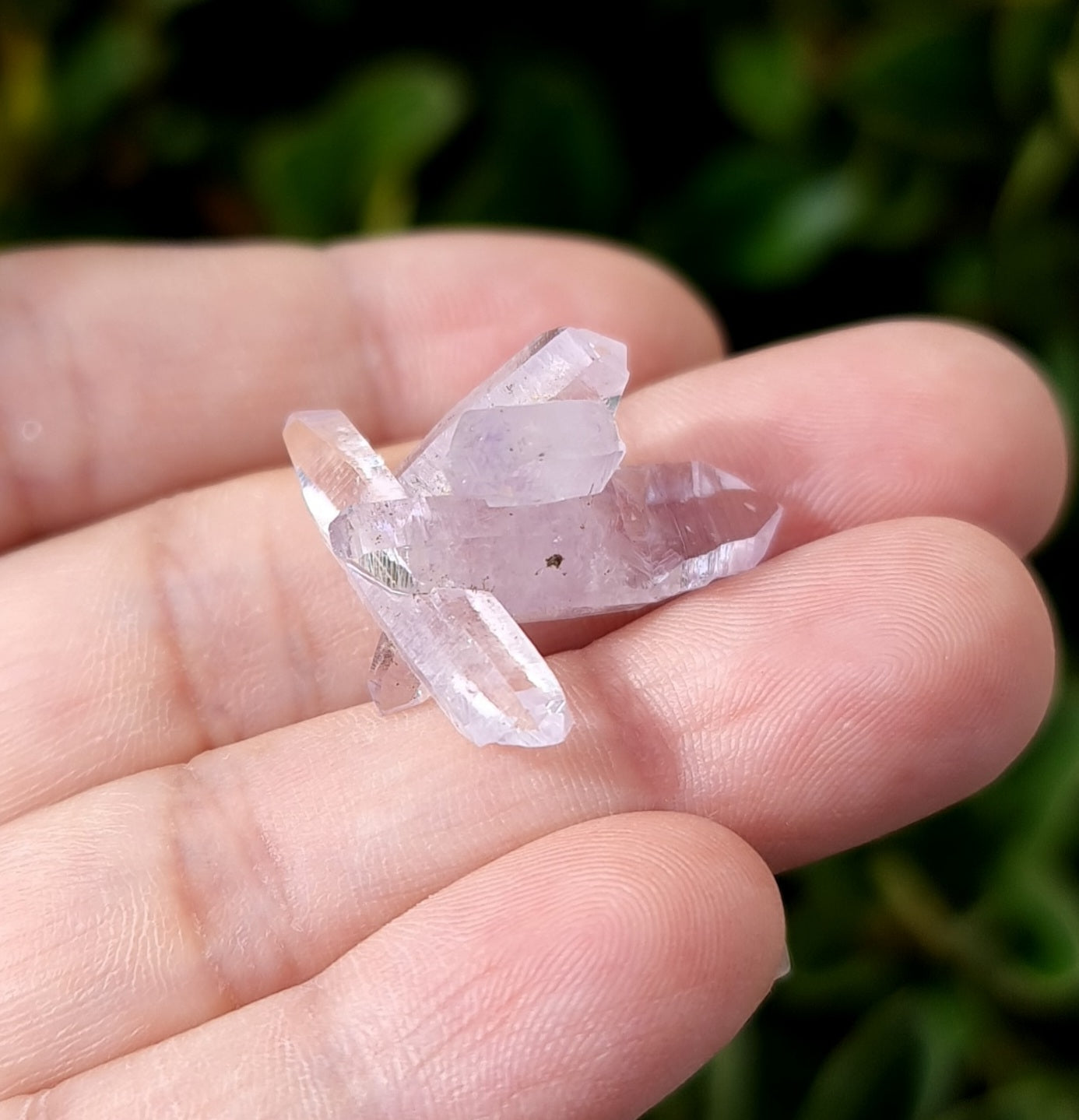 Vera Cruz Amethyst Specimen