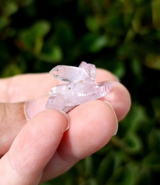 Vera Cruz Amethyst Specimen