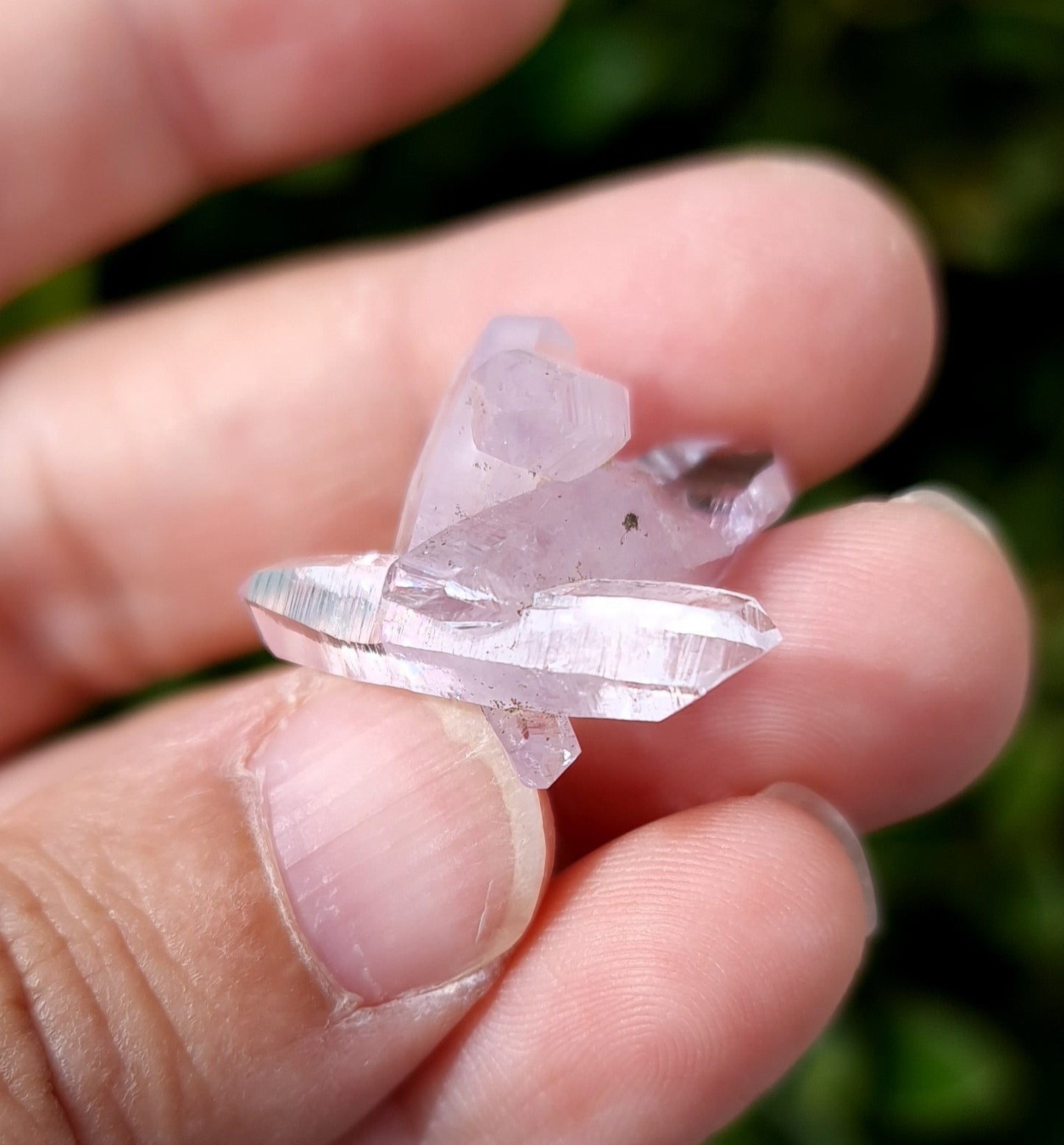 Vera Cruz Amethyst Specimen