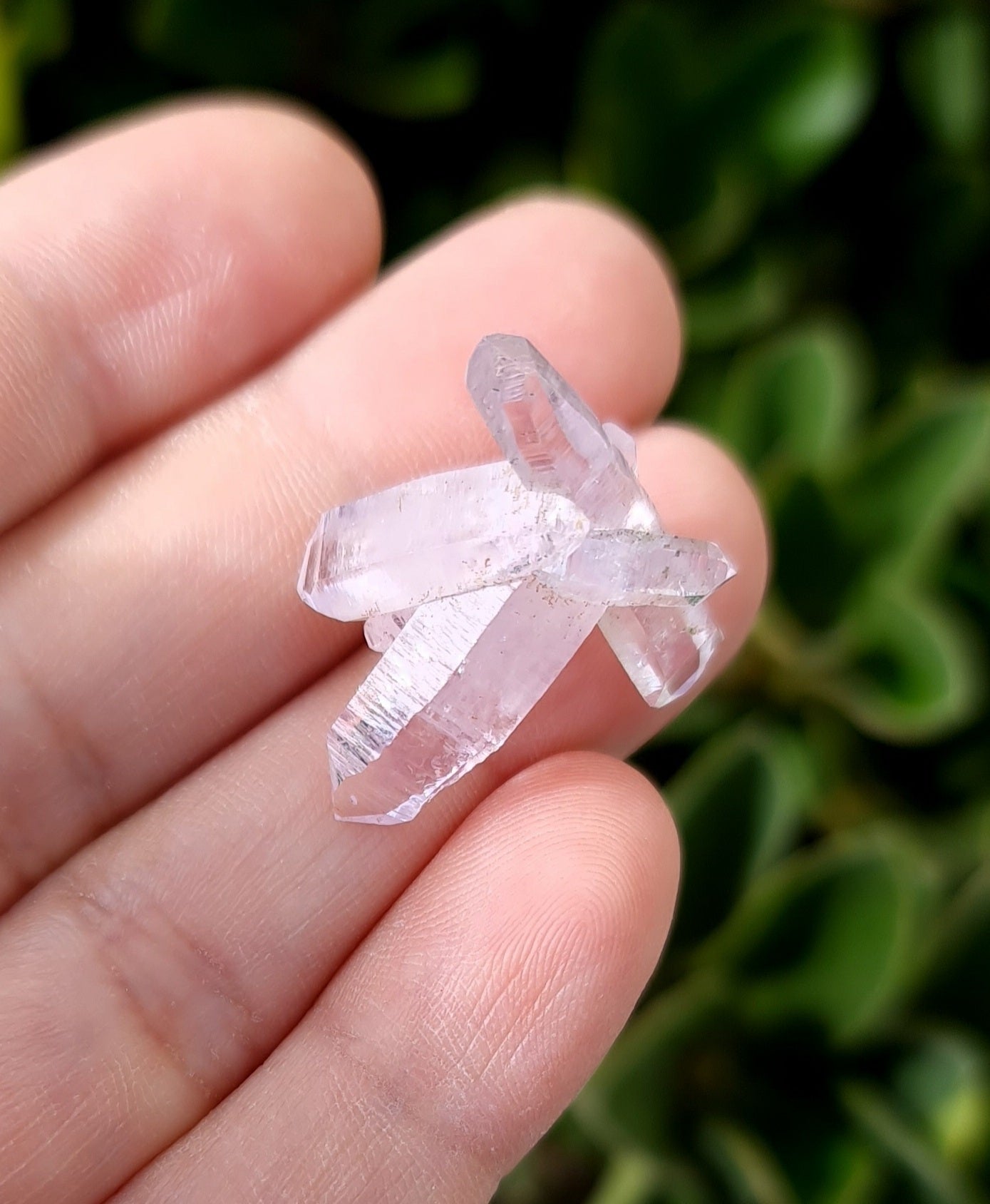 Vera Cruz Amethyst Specimen