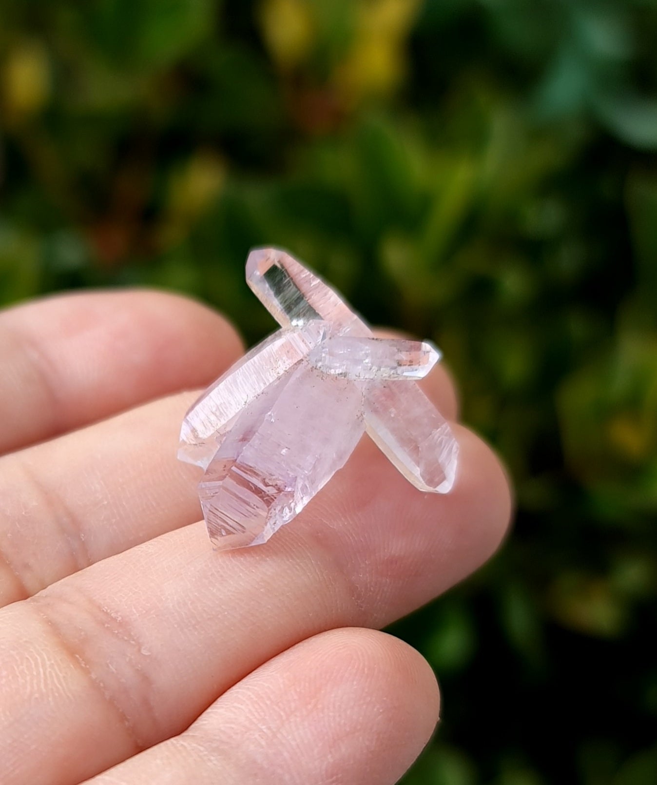 Vera Cruz Amethyst Specimen