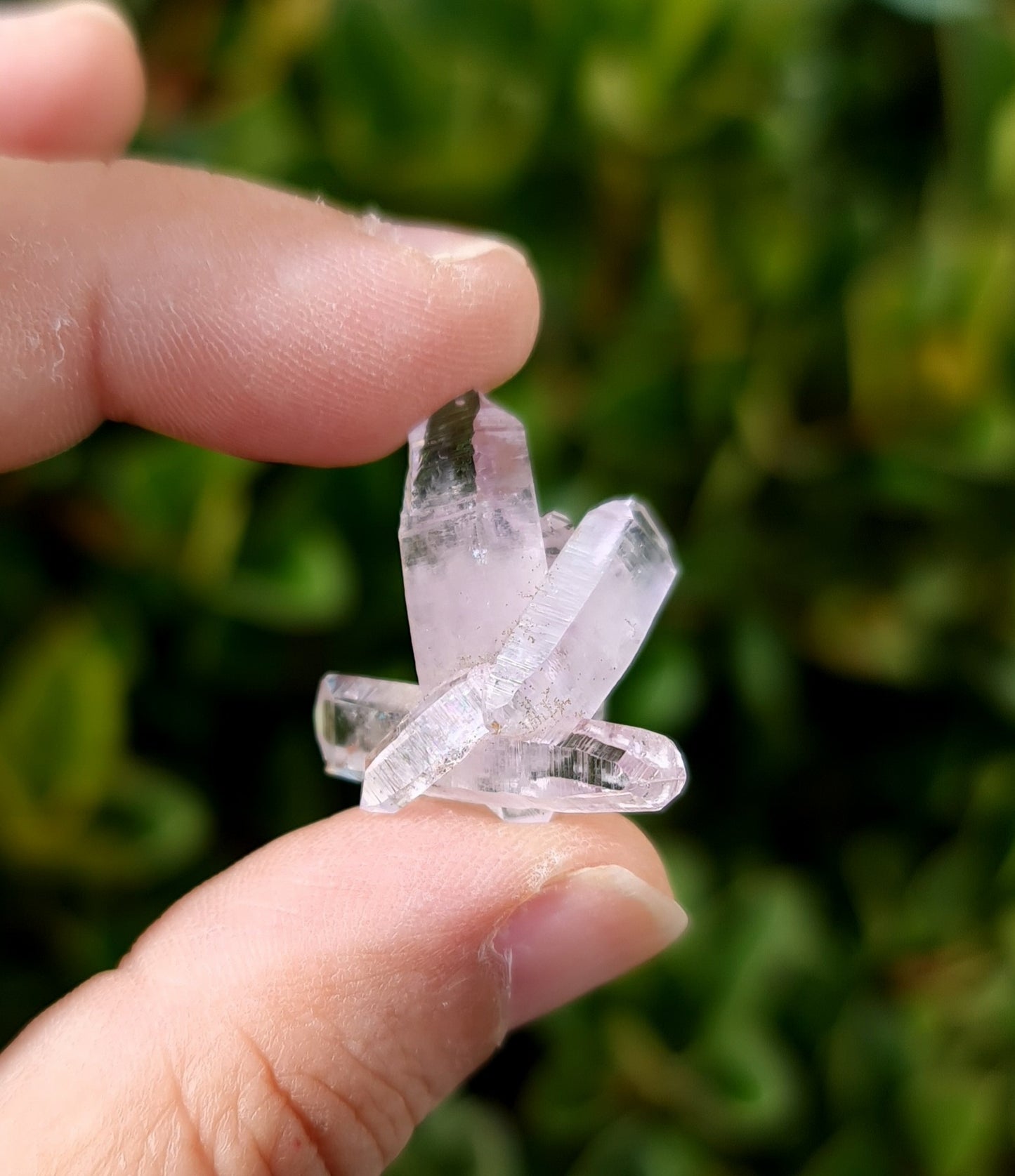Vera Cruz Amethyst Specimen