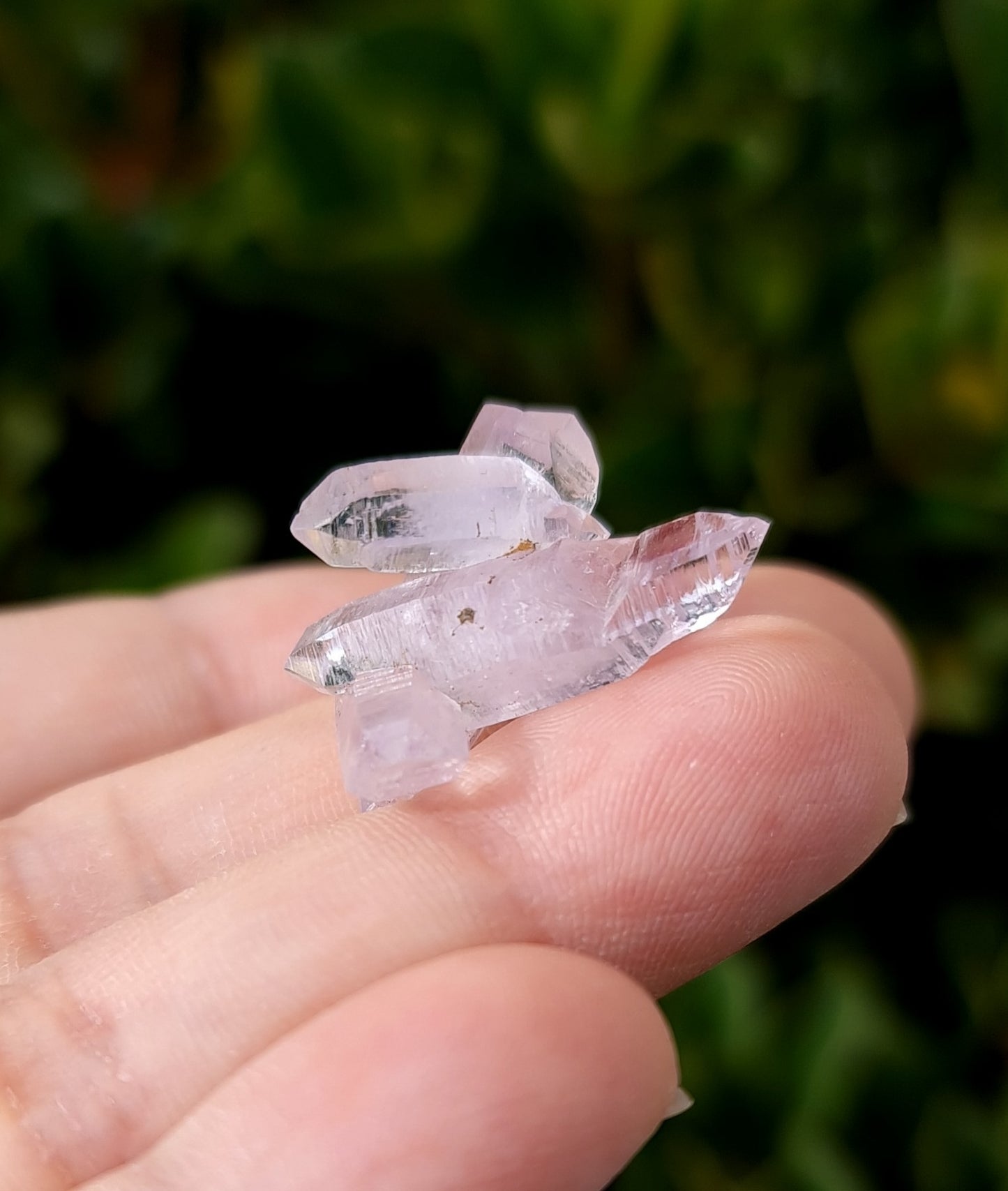 Vera Cruz Amethyst Specimen